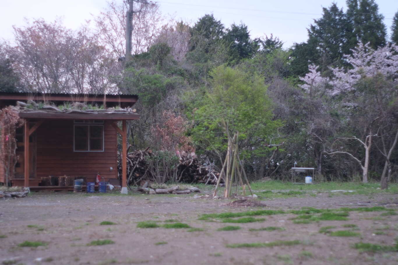 野営箭山 photo 3