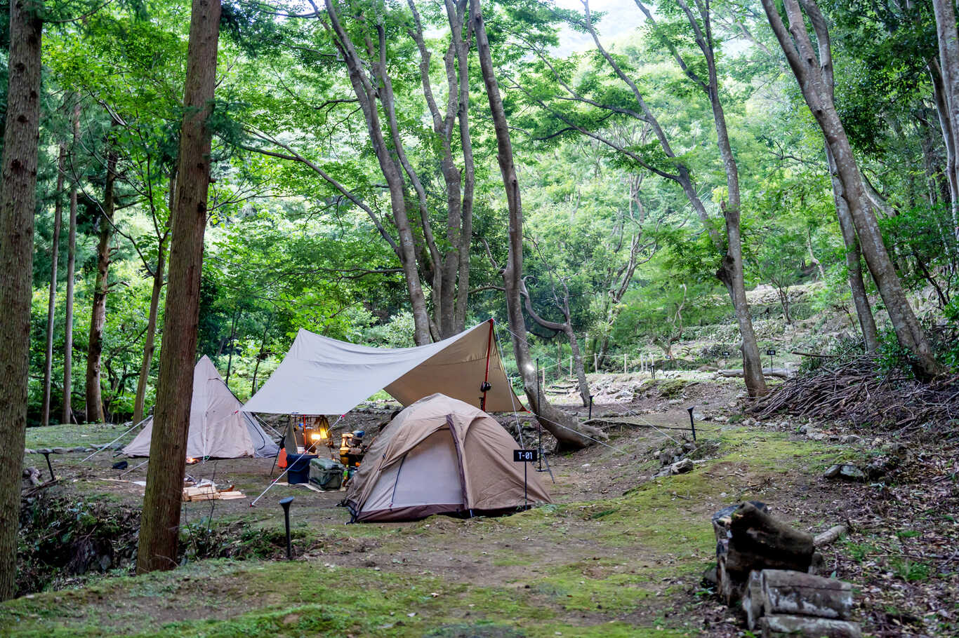 神岳テラスキャンピングパーク photo 4