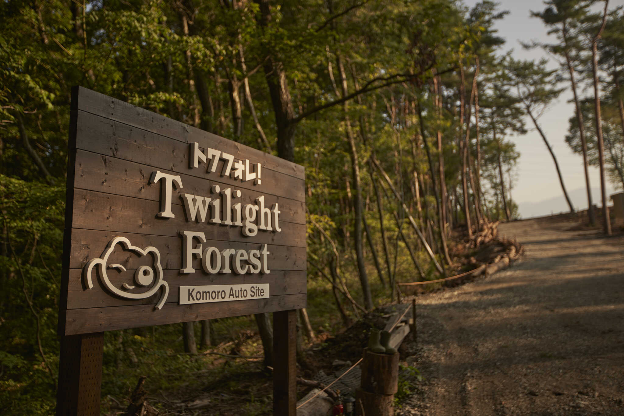 Twilight Forest