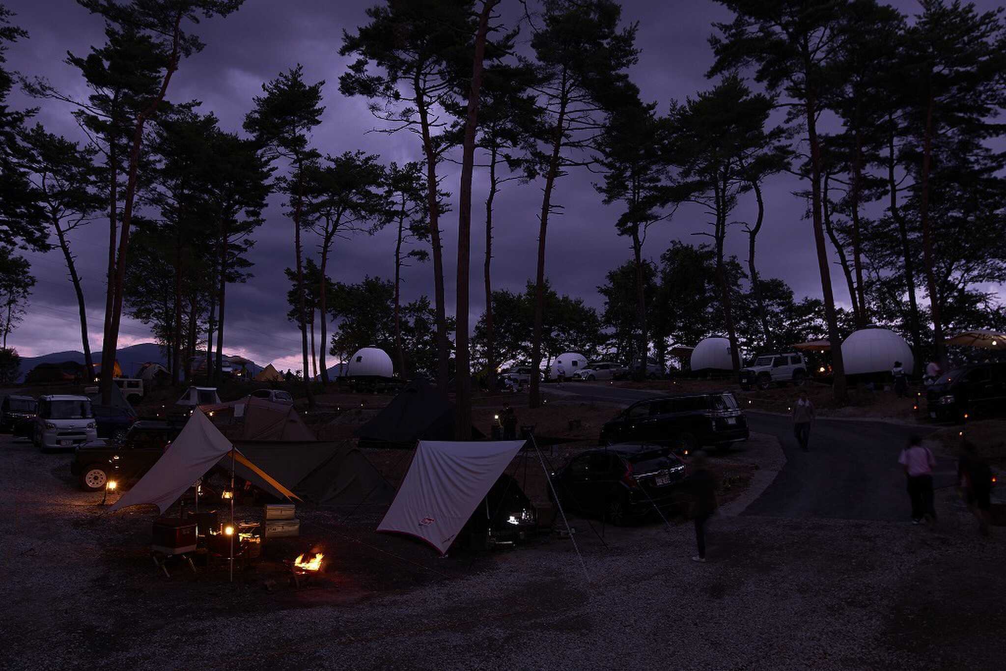 Twilight Forestの写真 3枚目