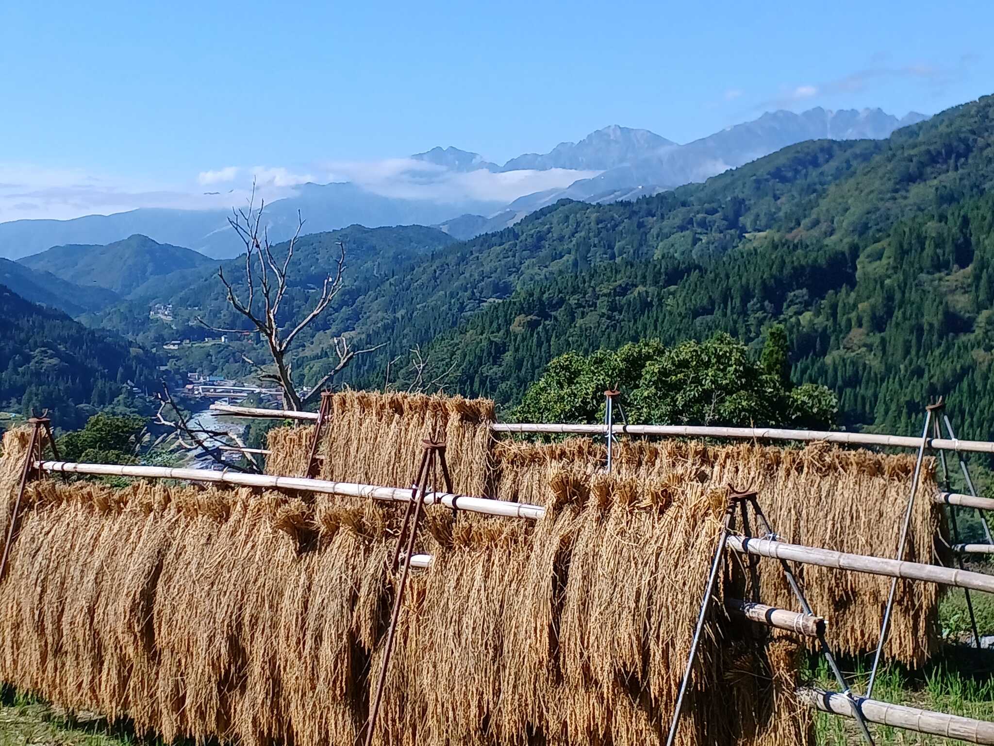 棚田キャンプ場