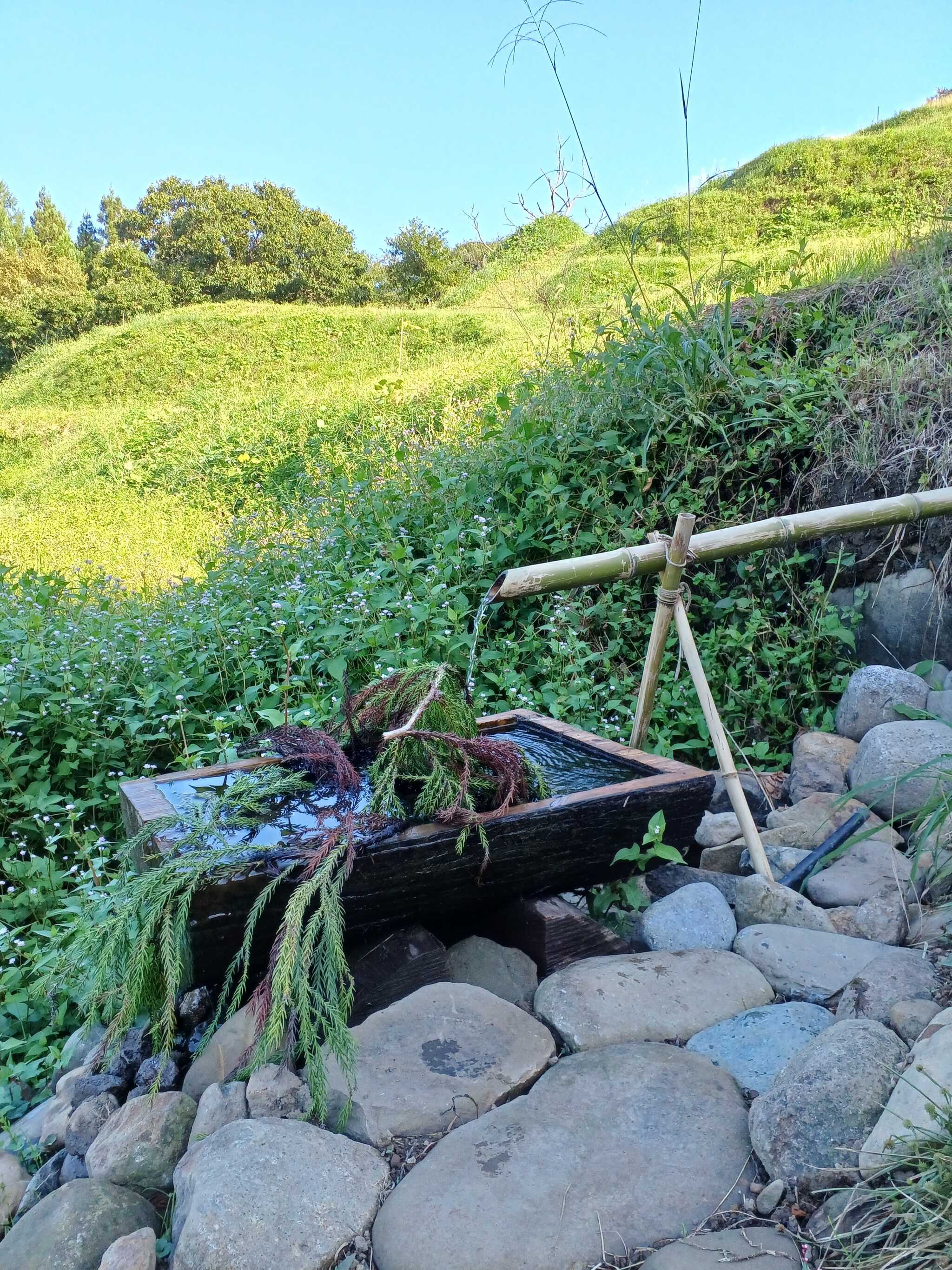 ビール冷やし処