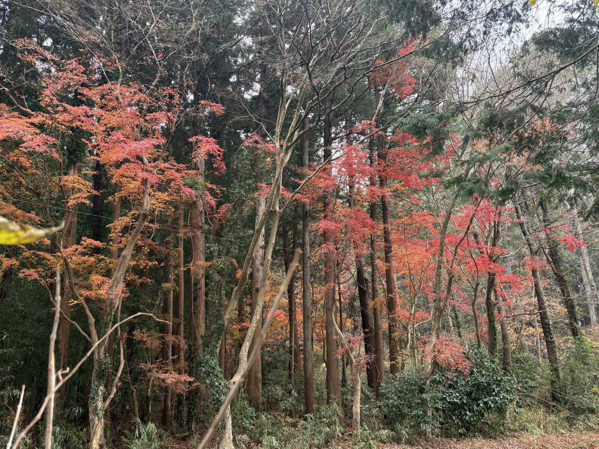高滝湖BASEの写真 3枚目