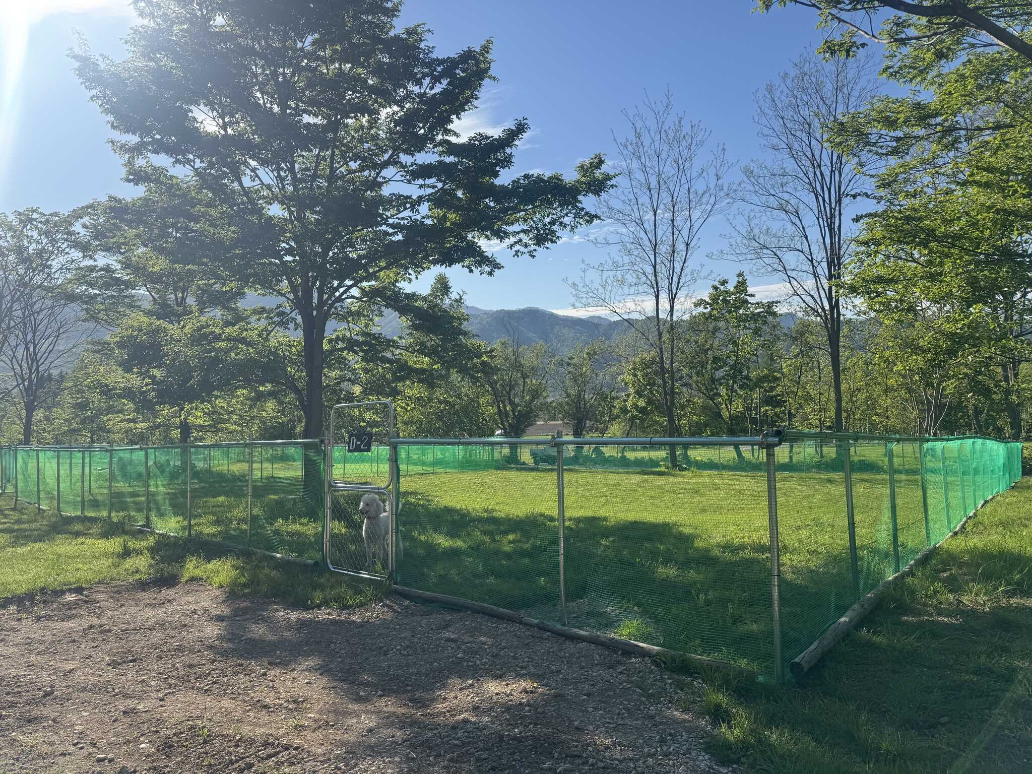 MOUNT NIKIの写真 4枚目