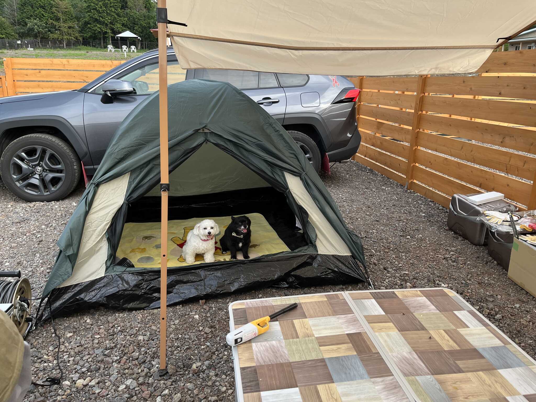 わんキャン DOGRUN&CAMPの写真 2枚目