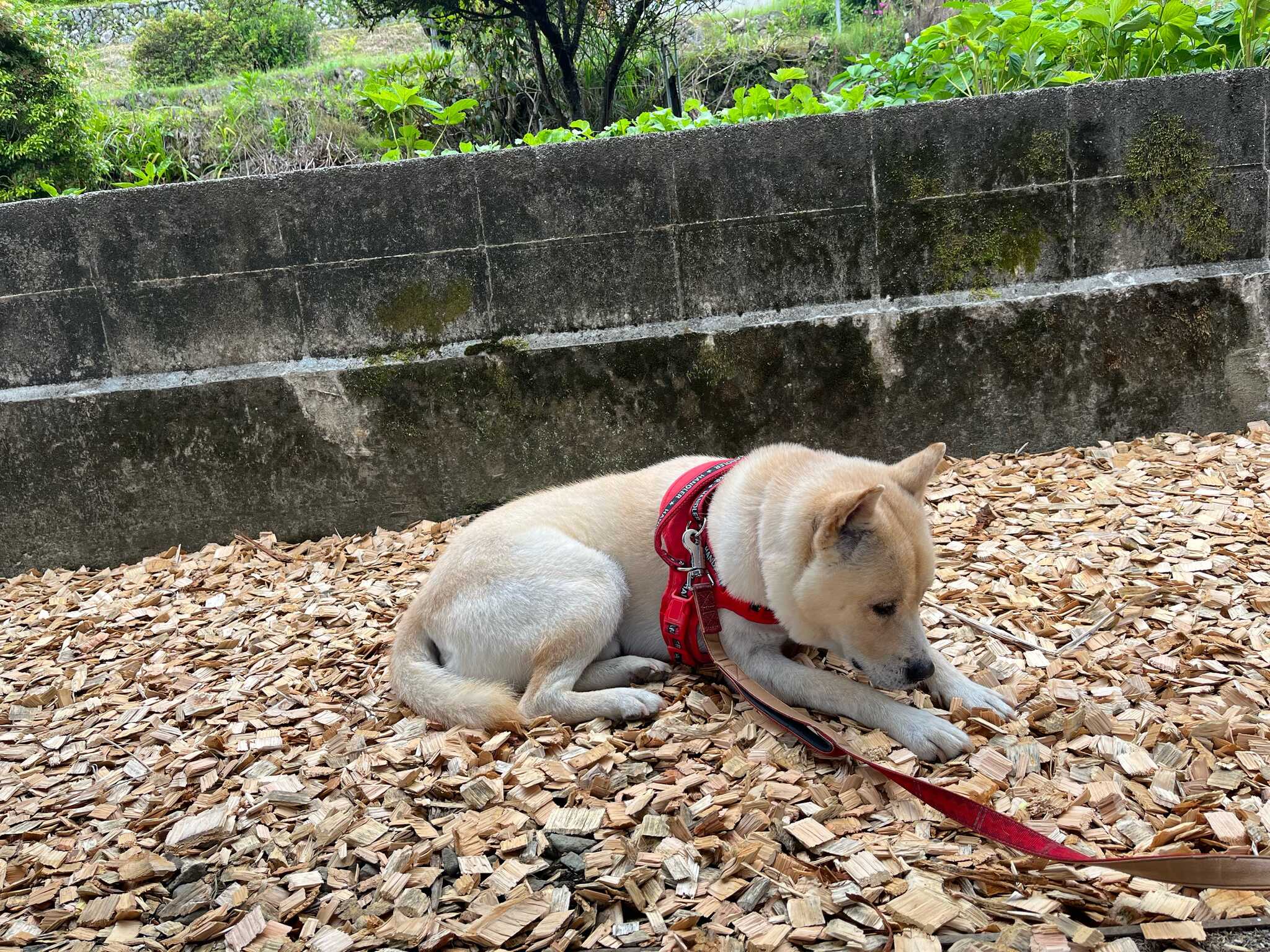 キャンプ場管理者