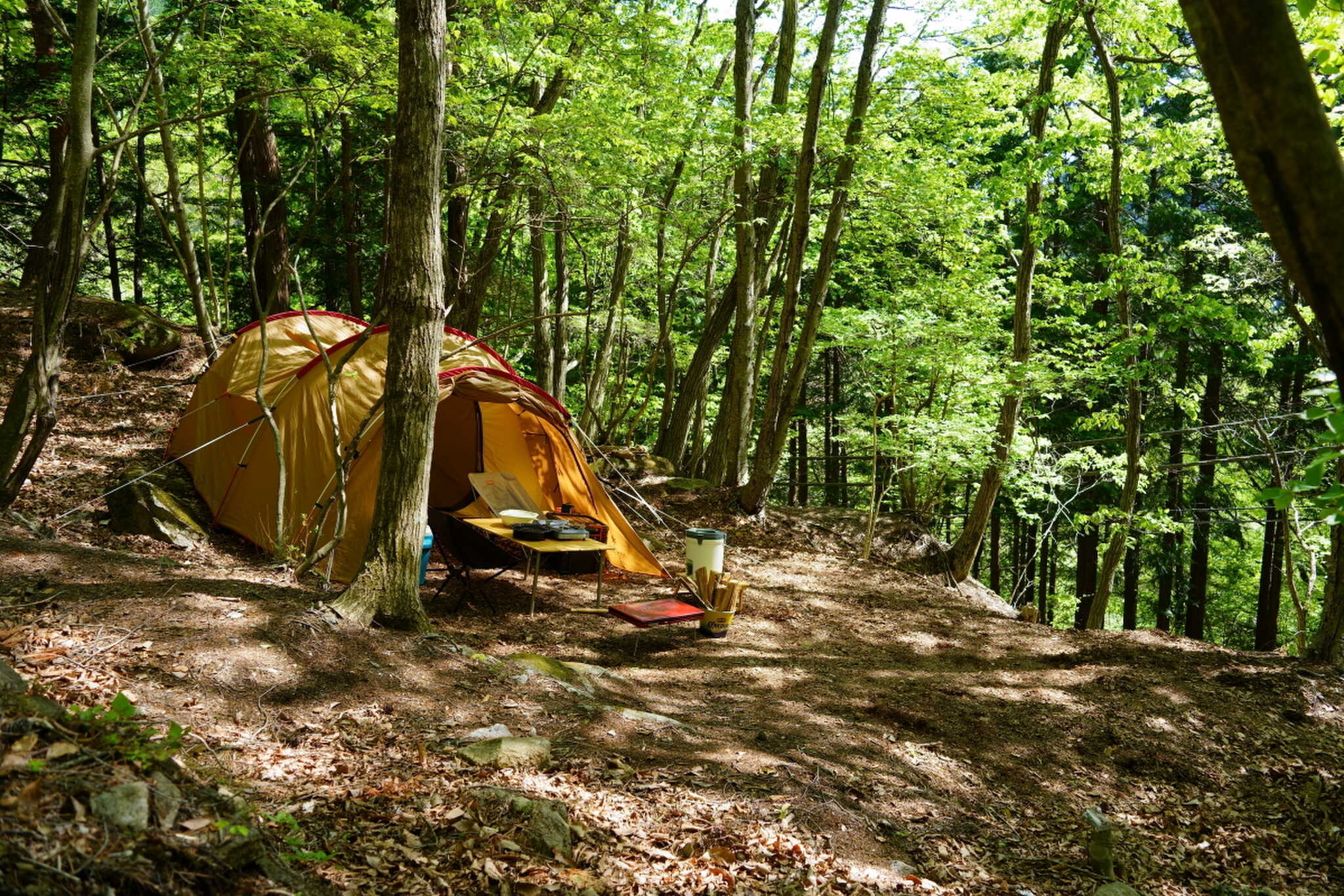 SUPERWILD RC and Camp Field(旧:瀬音村こもれびの森キャンプ場)
