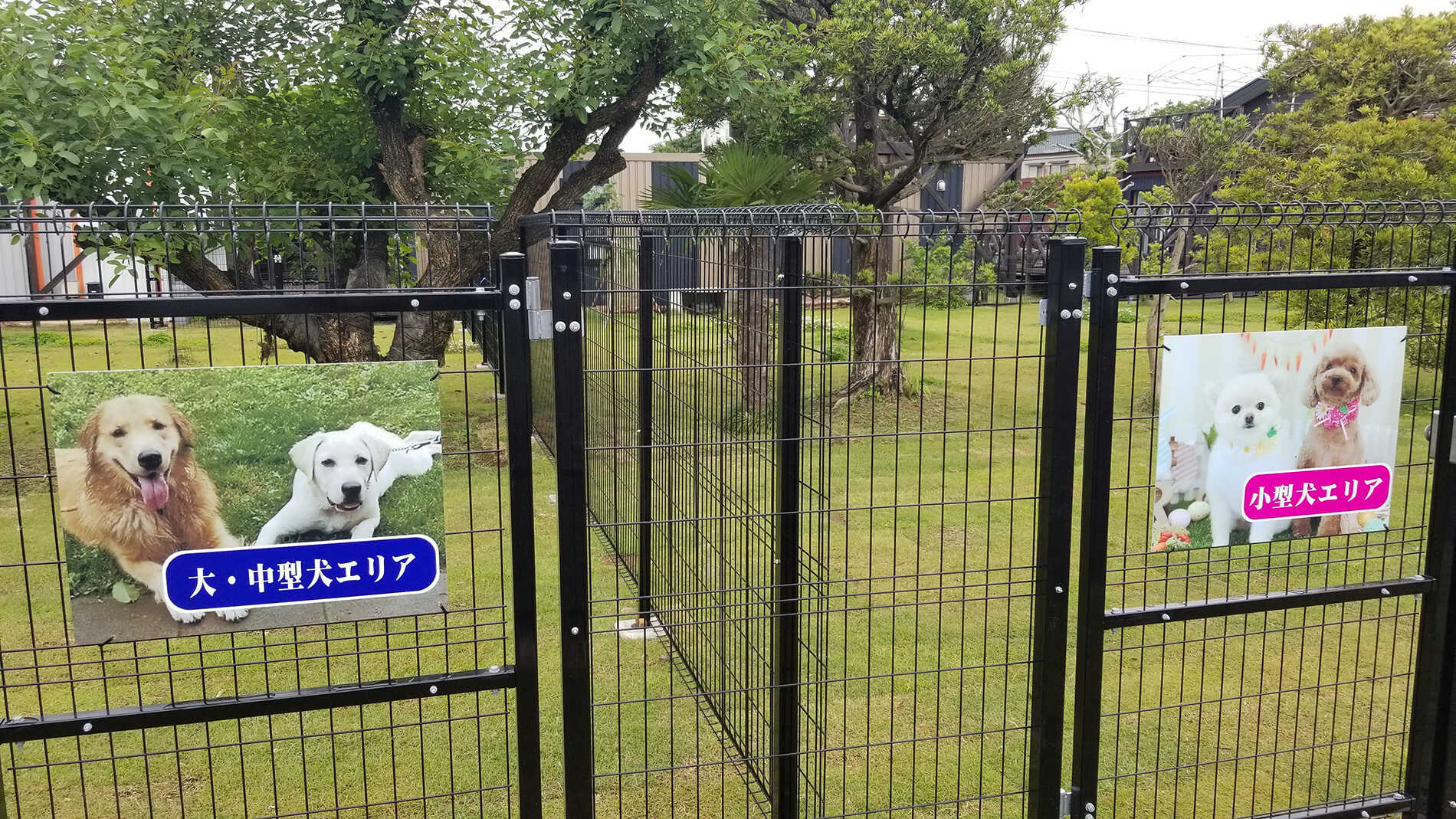 キャンプ場内のドッグラン