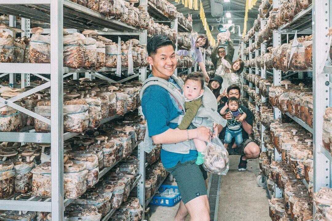 年間を通して椎茸狩りが楽しめ、採りたての椎茸をBBQで楽しむことが出来ます。