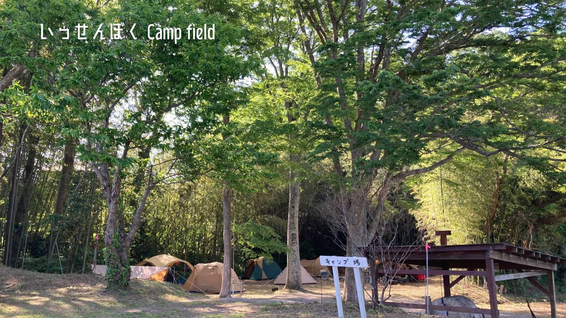 いっせんぼく Camp field (旧ブルーベリーキャンプノムさん王国)