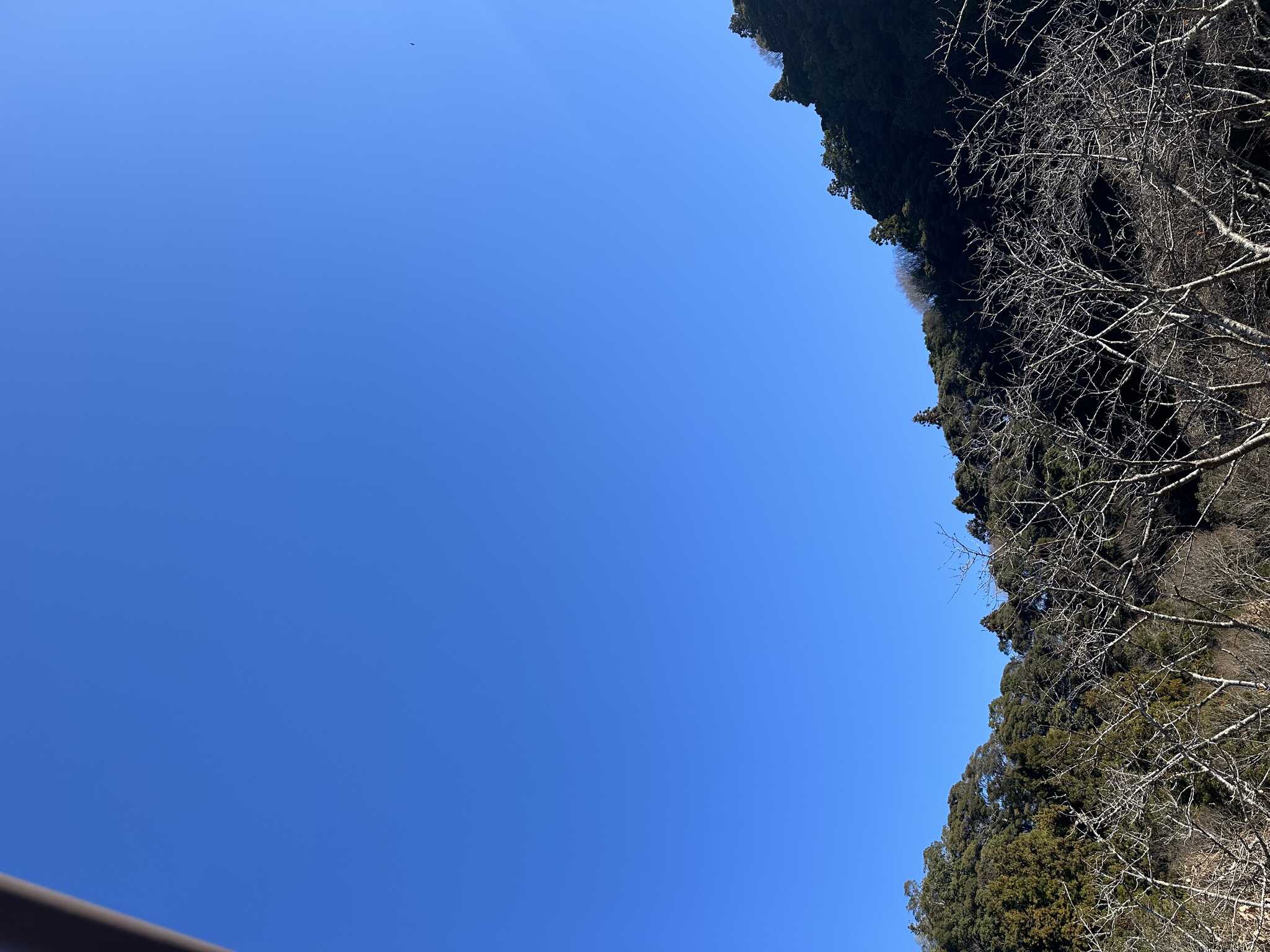 私です。川﨑です