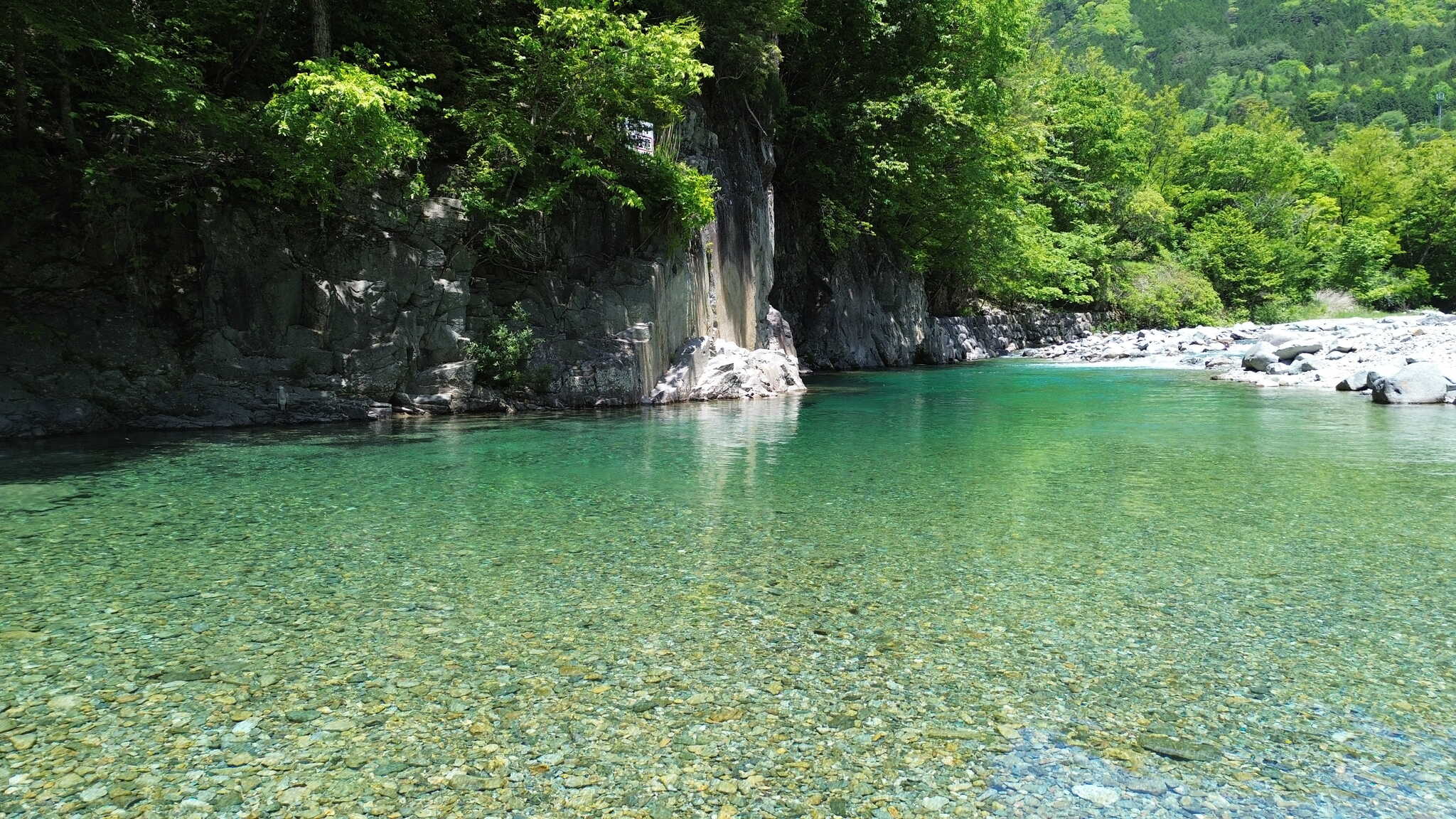 FORESTDOME付知峡