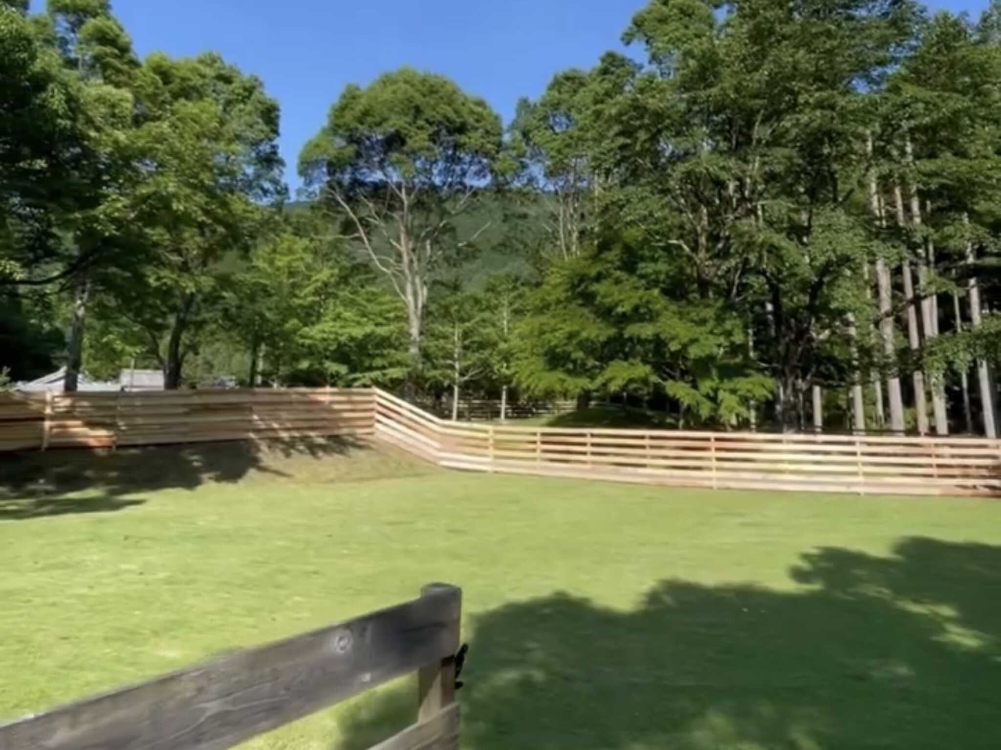 【共同ドッグラン♪ 】ふかふかの天然芝 大型犬も大満足の広さです!思いっきり楽しんだあとはワンちゃん専用の足洗い場もご用意しています