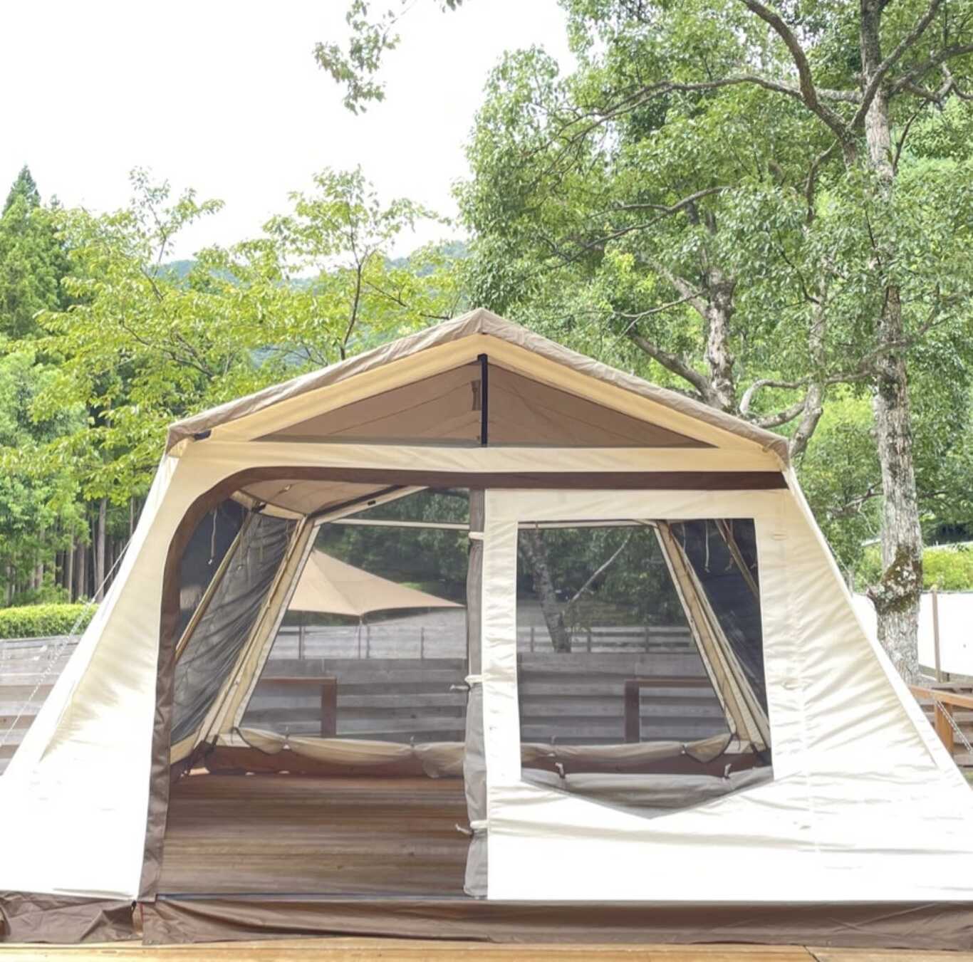 Meivi camp&dog photo 5