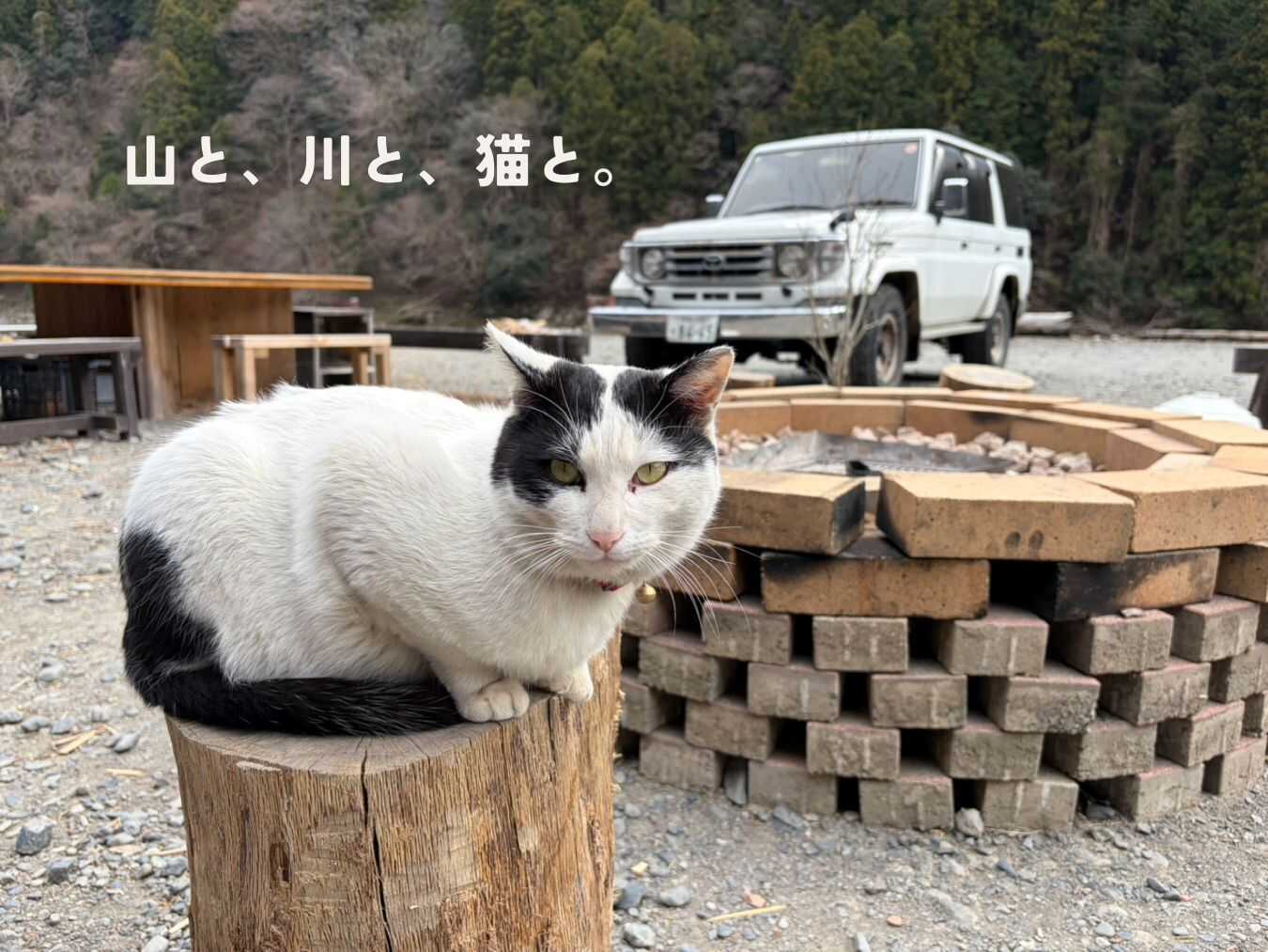 Ogawa. Camp Fieldの写真 4枚目