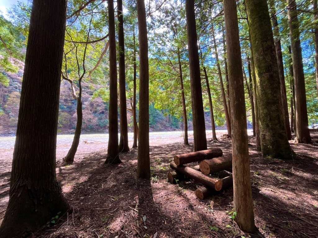 Ogawa. Camp Field photo 4