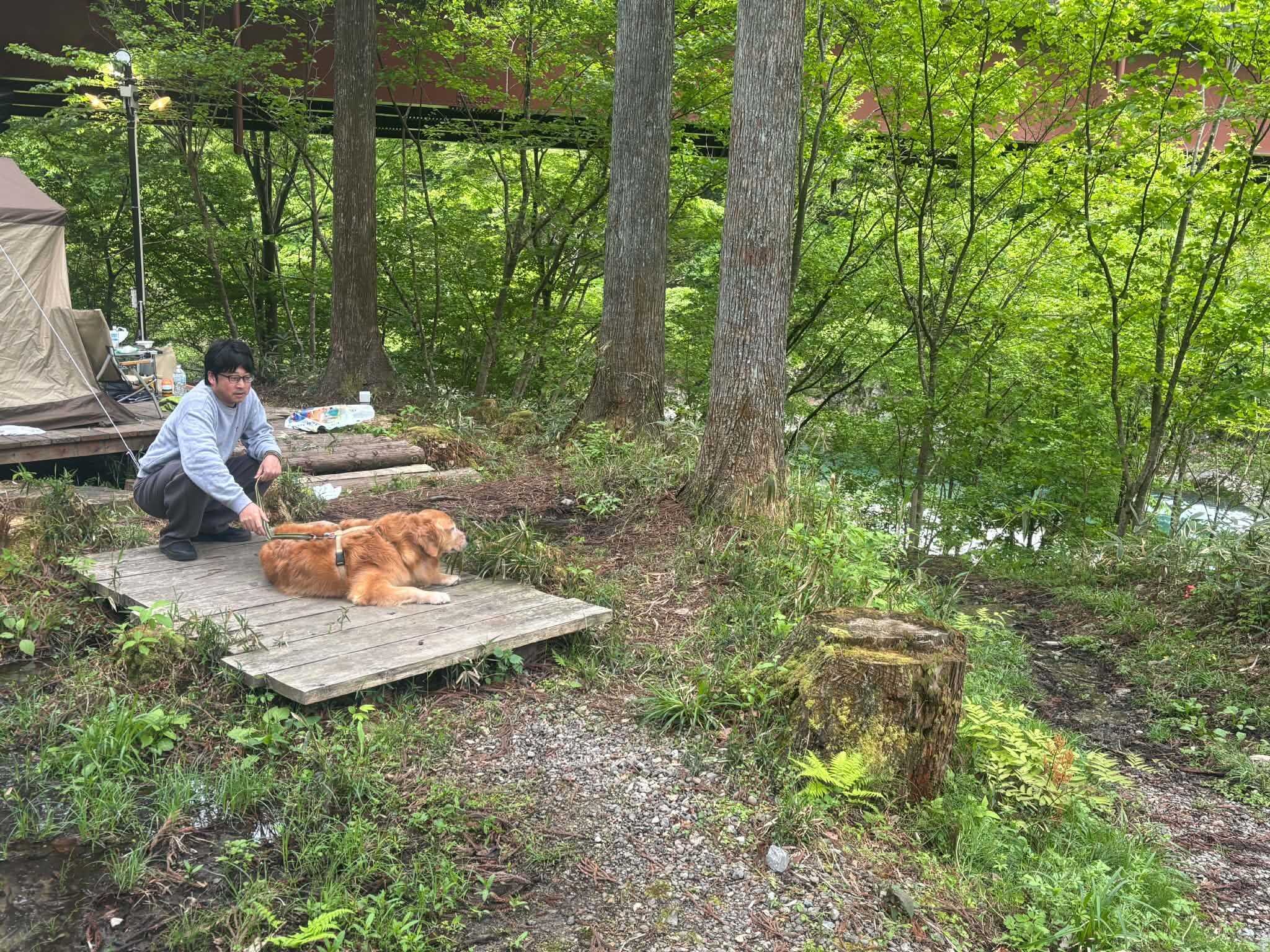 mazecampの写真 5枚目