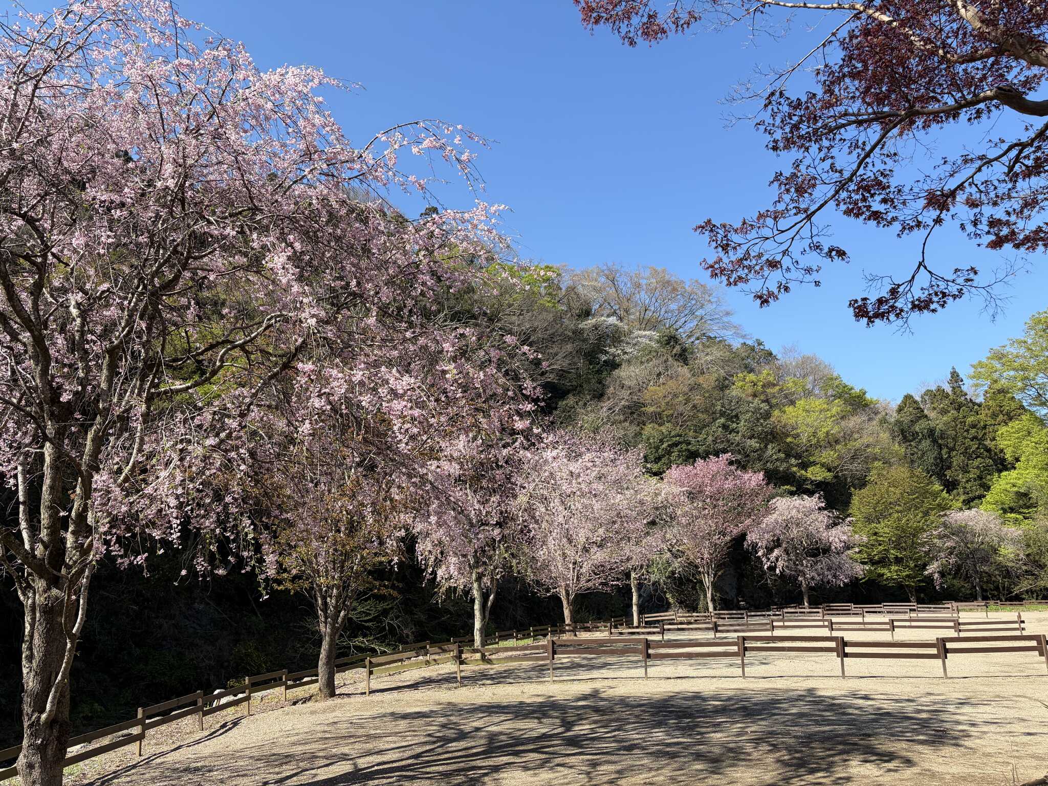 Fujioka BASE リバーサイド