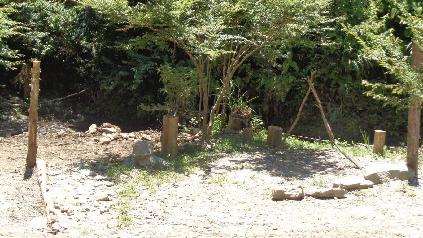 あてらの森 キャンプ場 photo 4