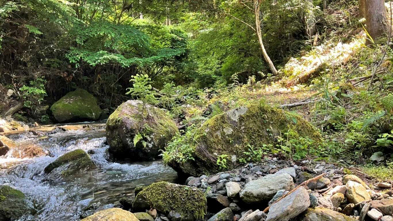 あてらの森　キャンプ場 photo 2