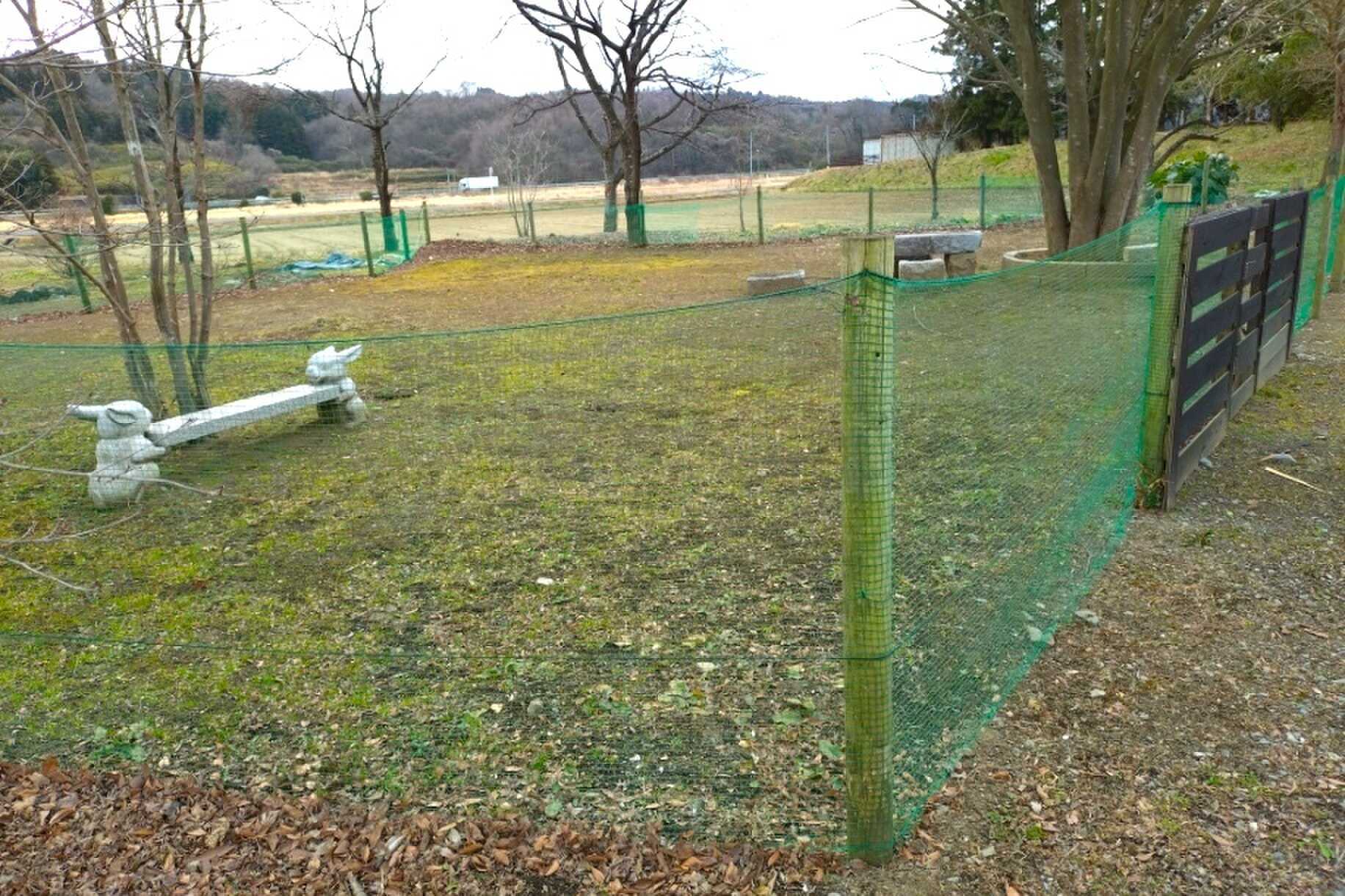 真田庭園キャンプ場の写真 4枚目