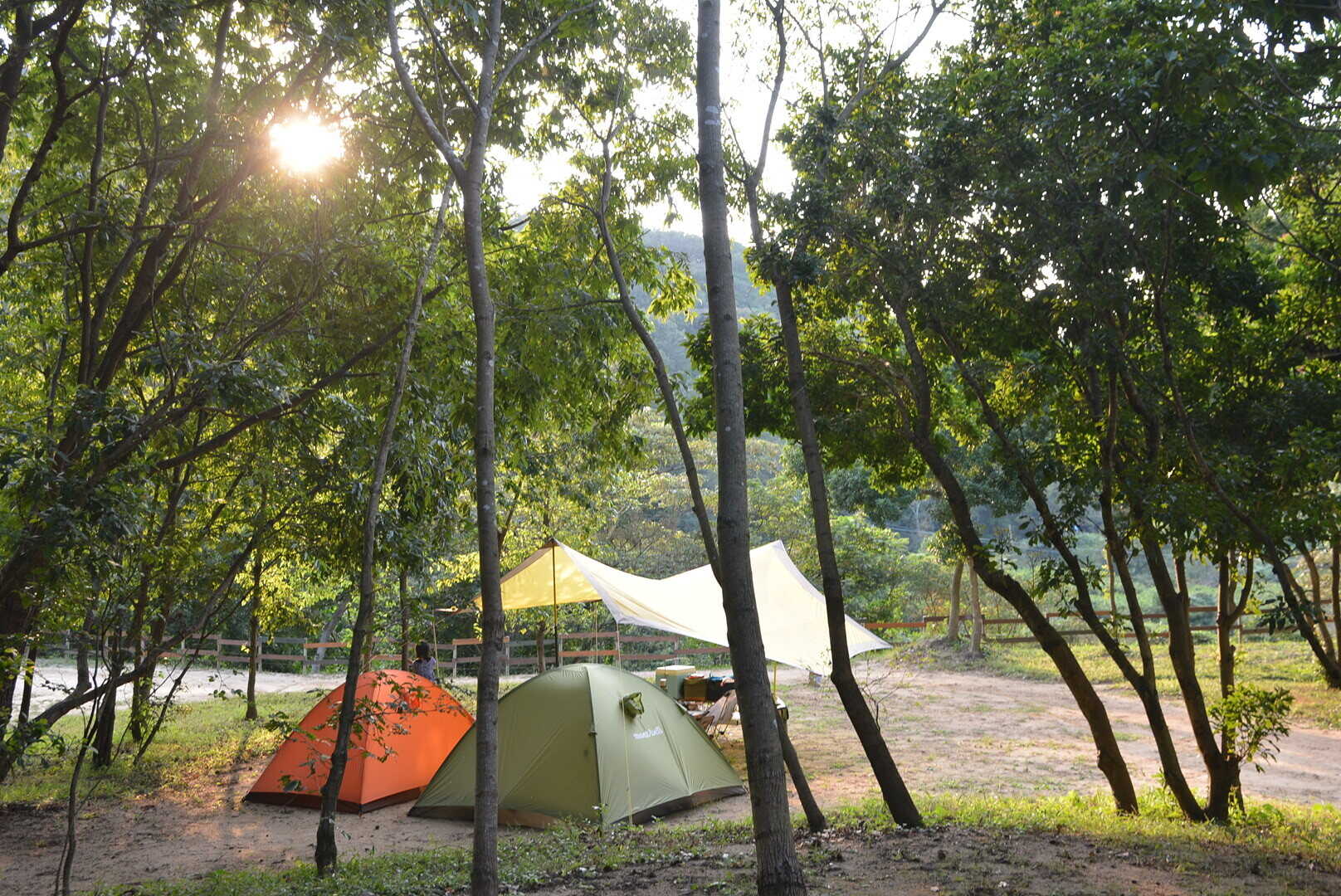 Trek Gardenの写真 1枚目