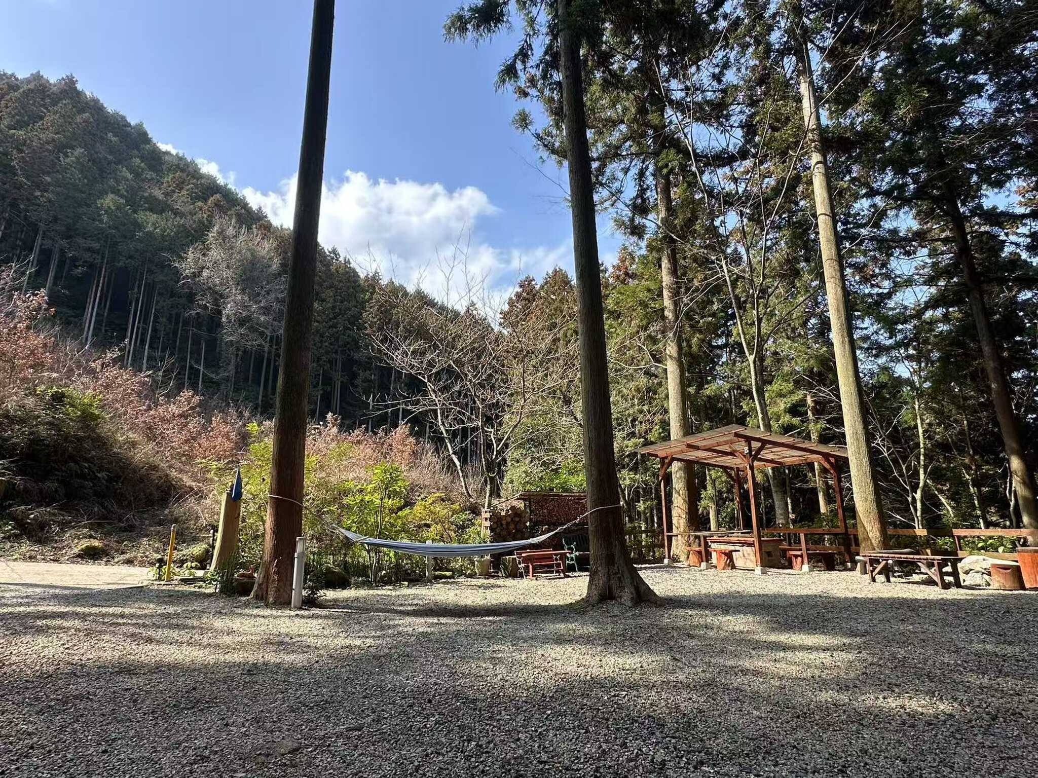 FOREST HOUSE