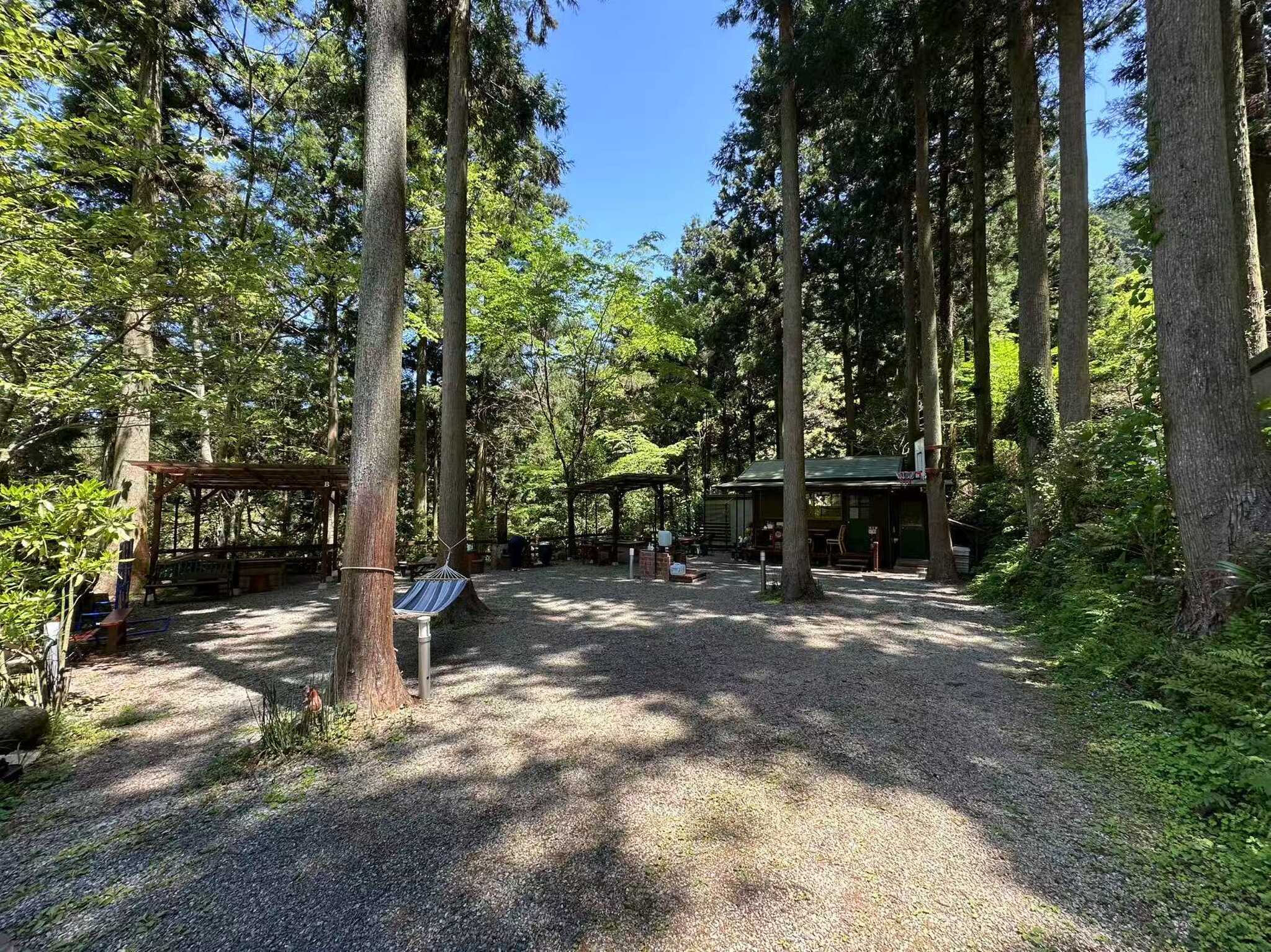 FOREST HOUSE