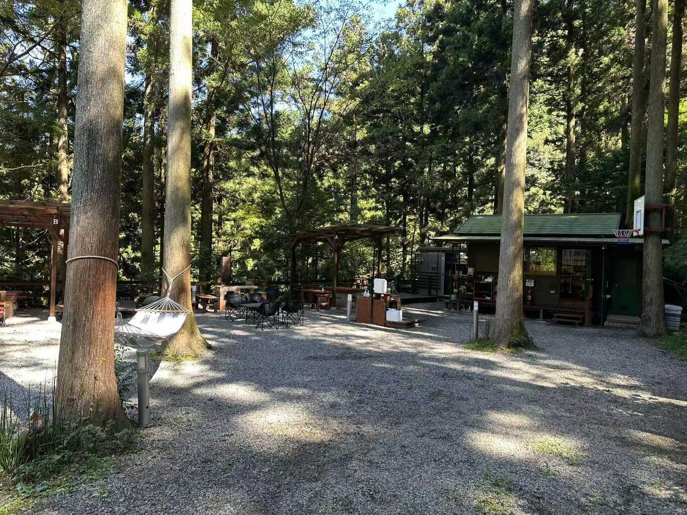 FOREST HOUSE photo 4