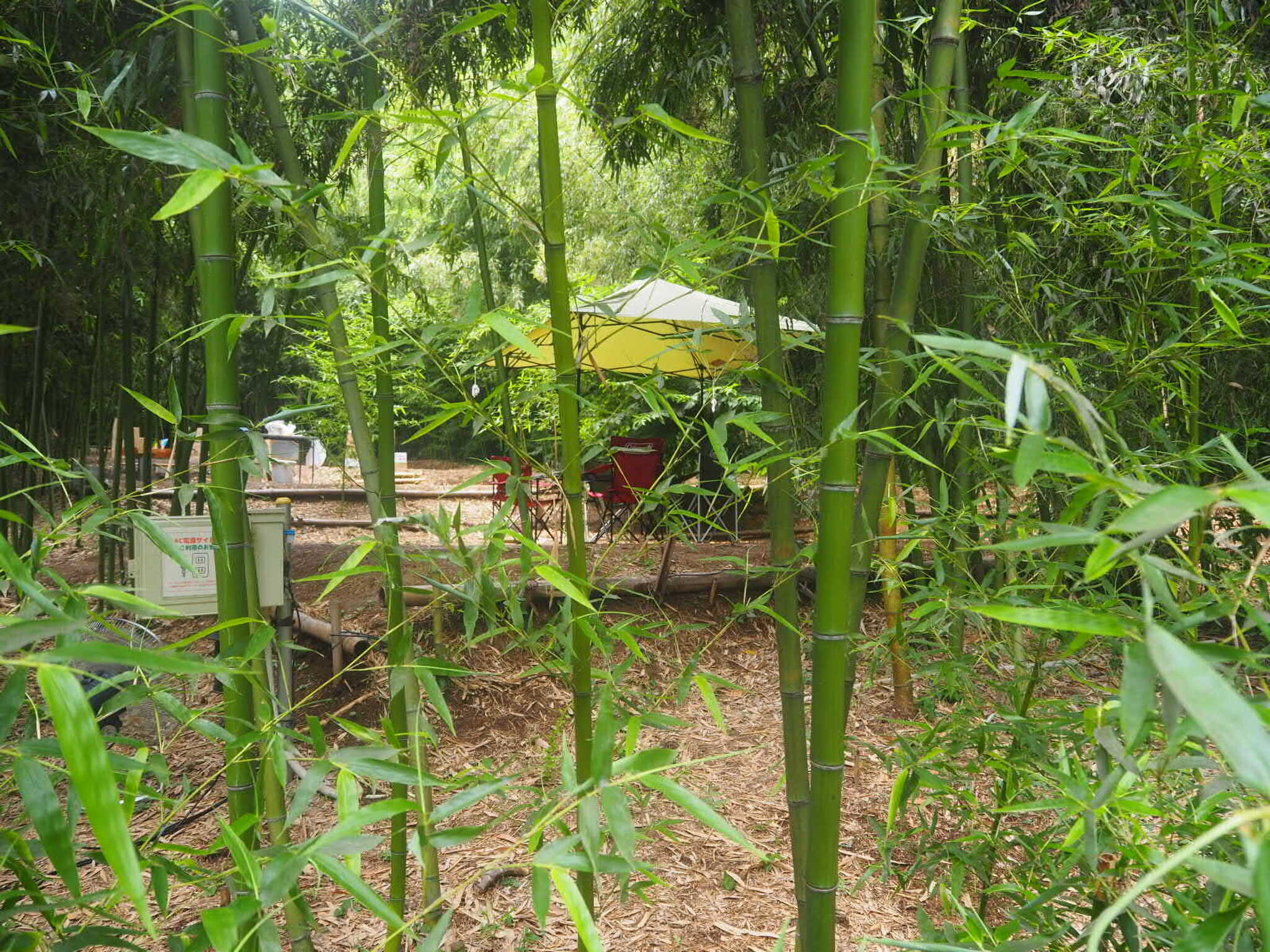 CAMPかぐやの写真 3枚目