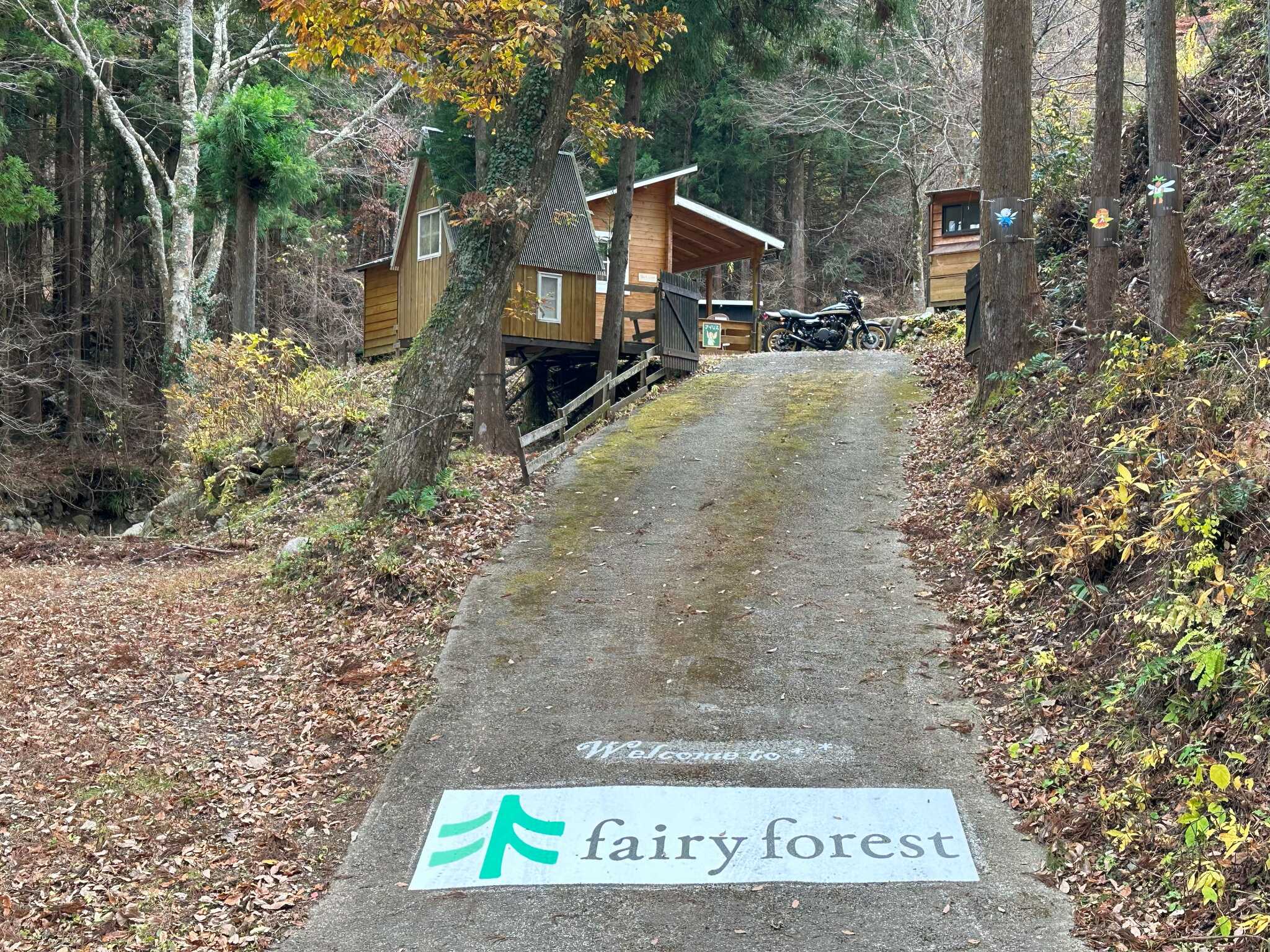 campsite fairy forestの写真 2枚目
