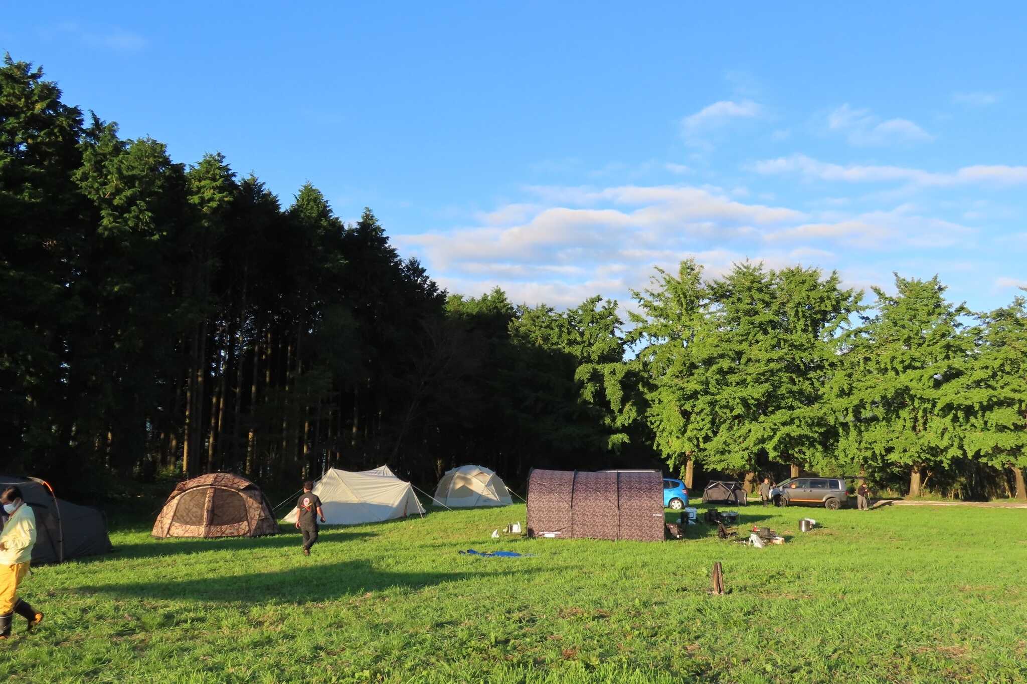 TREE LINE chillax fieldの写真 2枚目