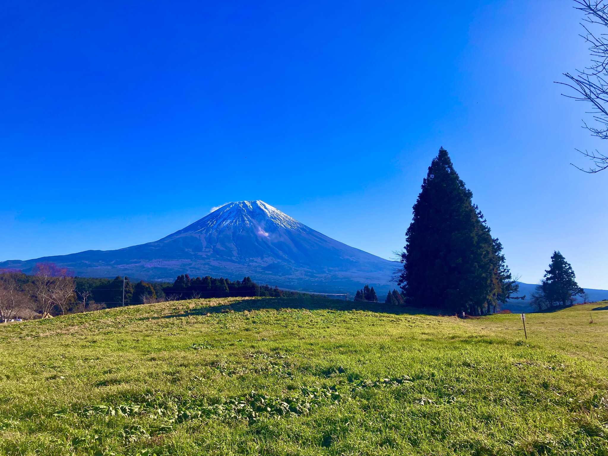 洗い場から見える富士山。洗う時間も楽しくなります!
