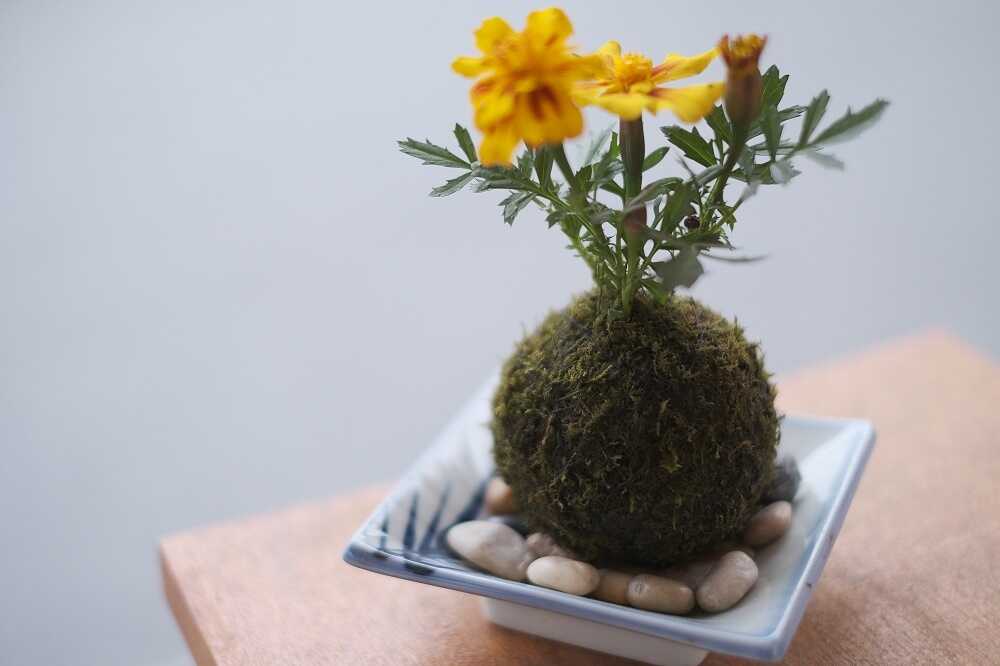 レスパール藤ヶ鳴 photo 2