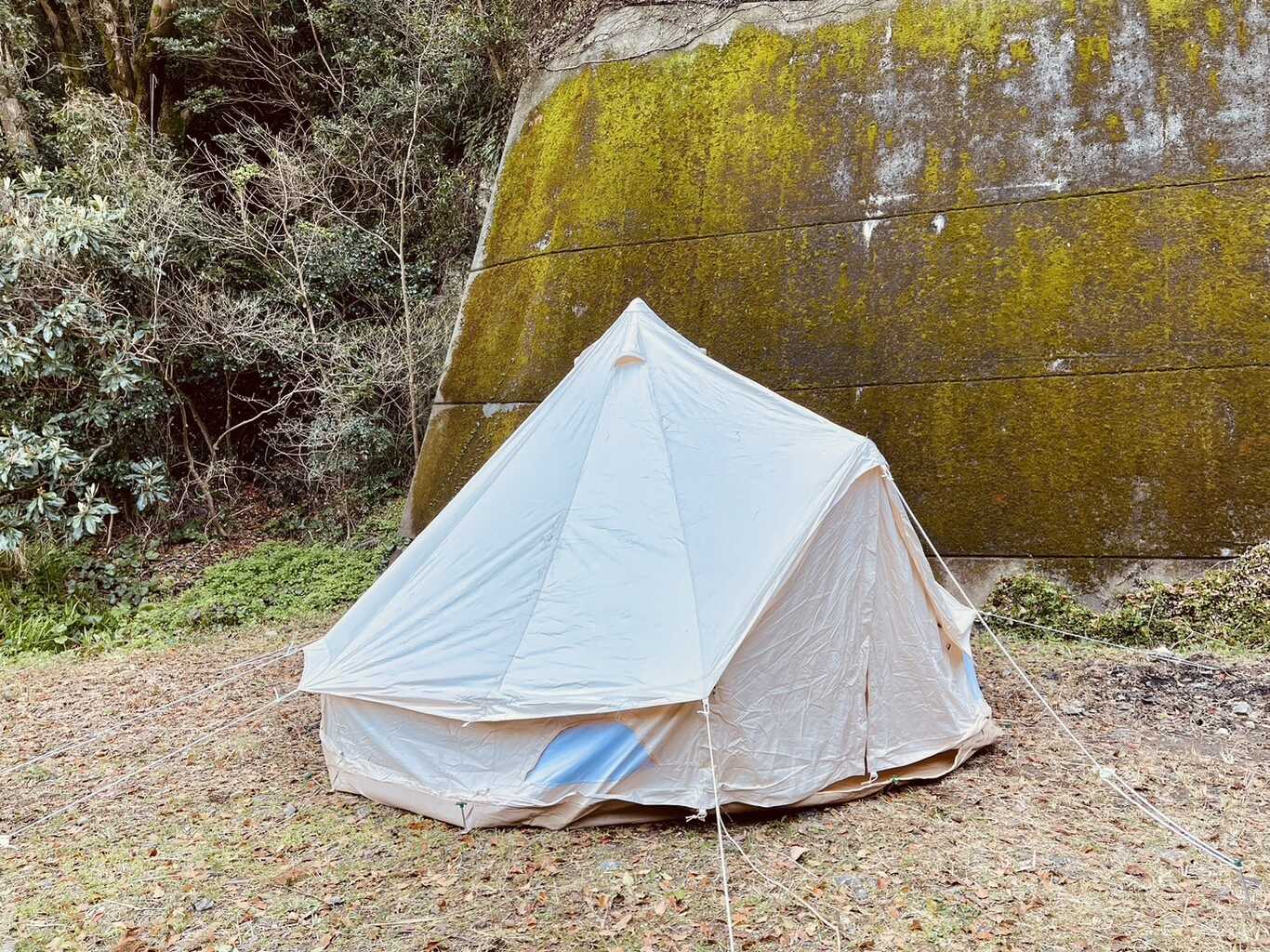 ワイルドライフ　森風 photo 2