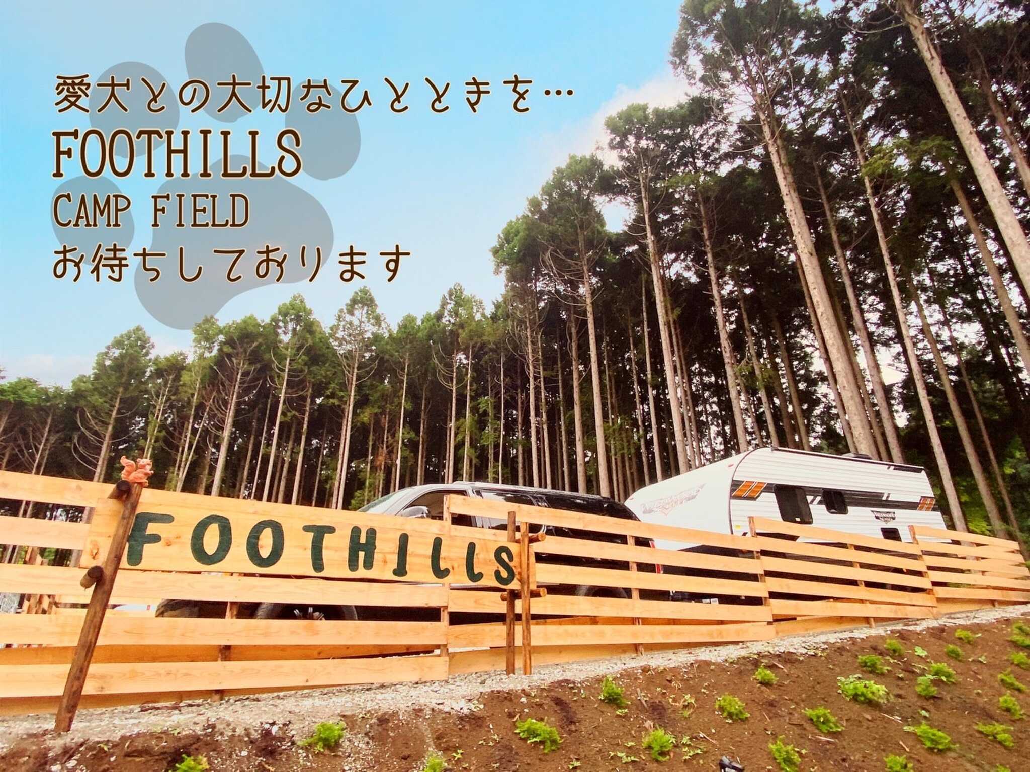 foothillsキャンプ場の写真 2枚目