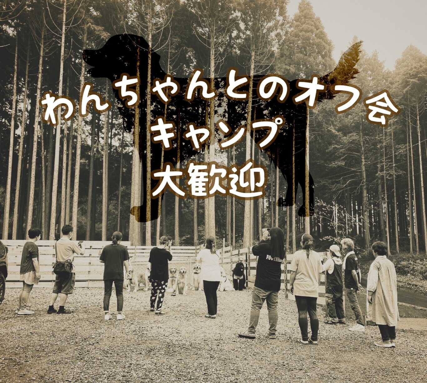 foothillsキャンプ場 photo 4