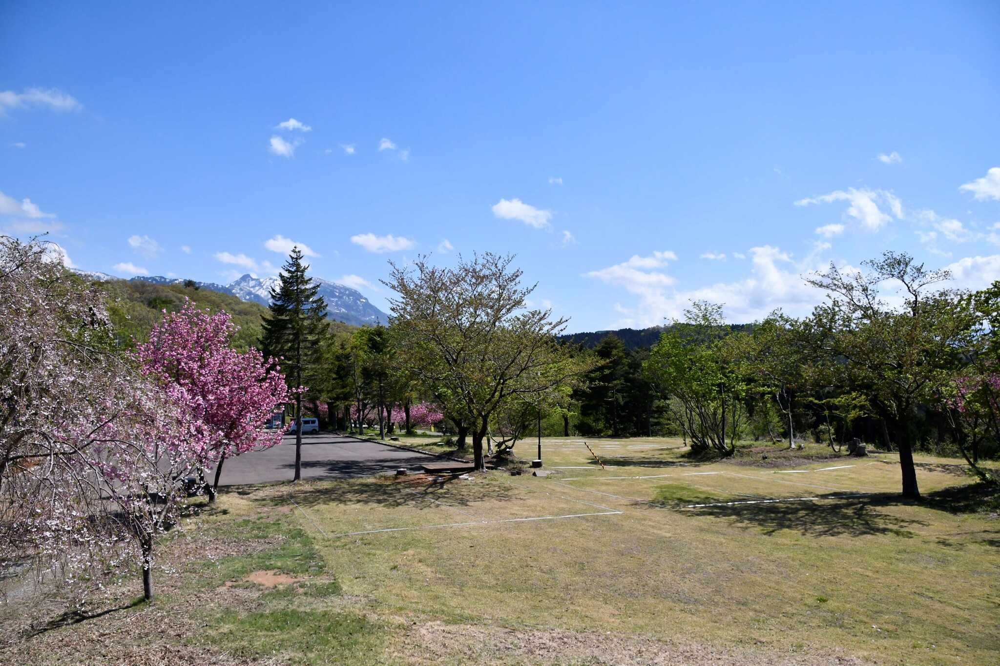 大和川森林公園高ノ峰プラトーの写真 2枚目