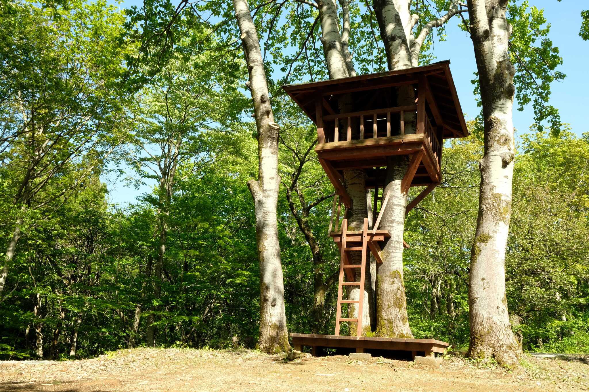 大和川森林公園高ノ峰プラトーの写真 5枚目