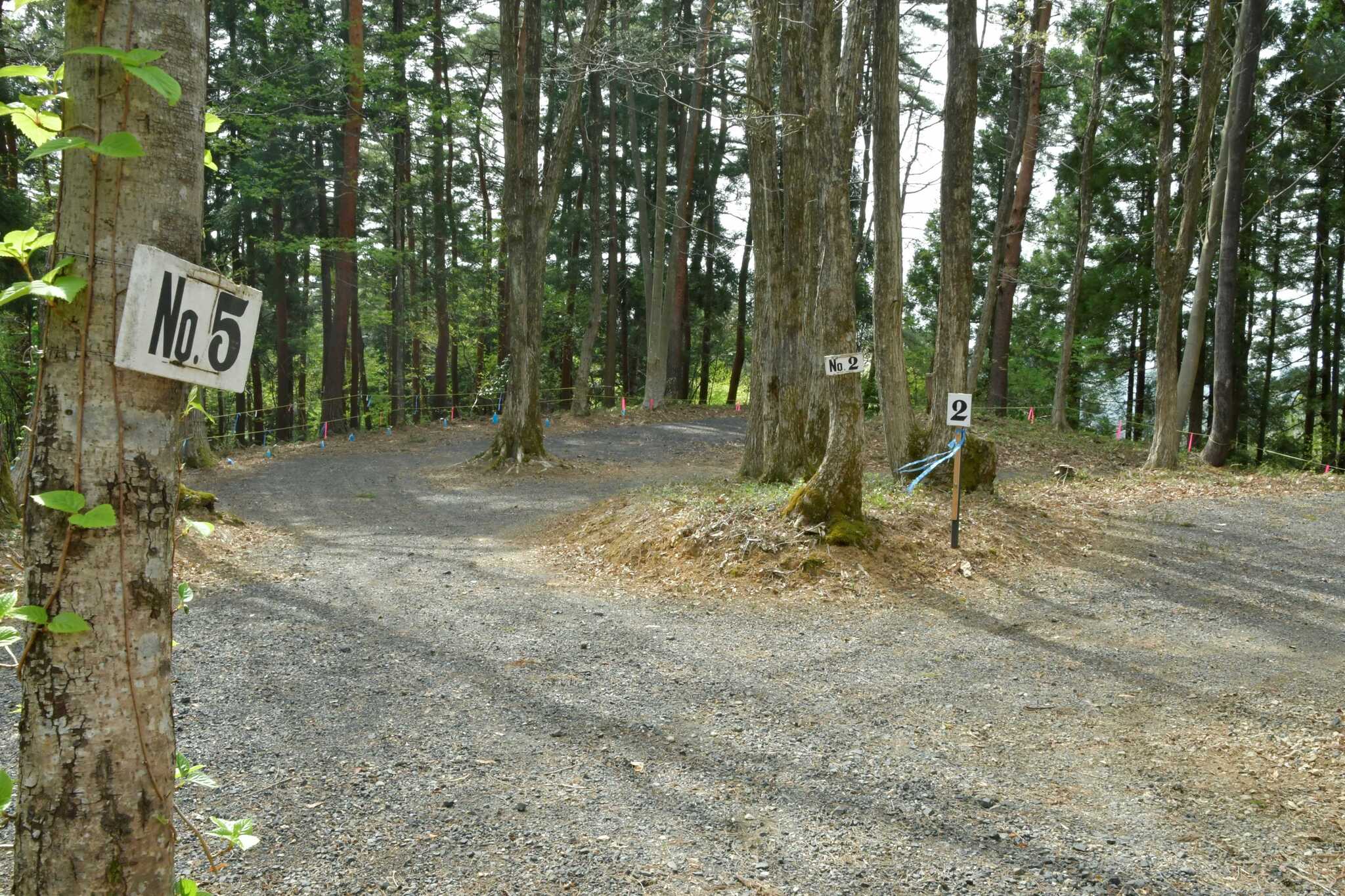 【オートサイト】大きな木々に囲まれたオートキャンプ場。ファミリー広場から少し離れた閑静な森林サイトです。
