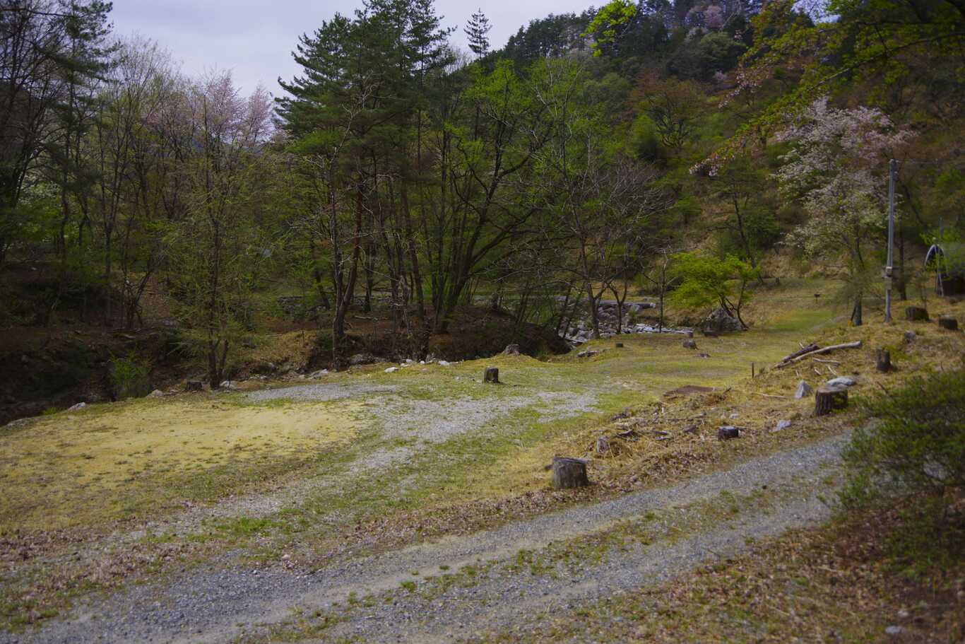 桑原キャンプ場 photo 3