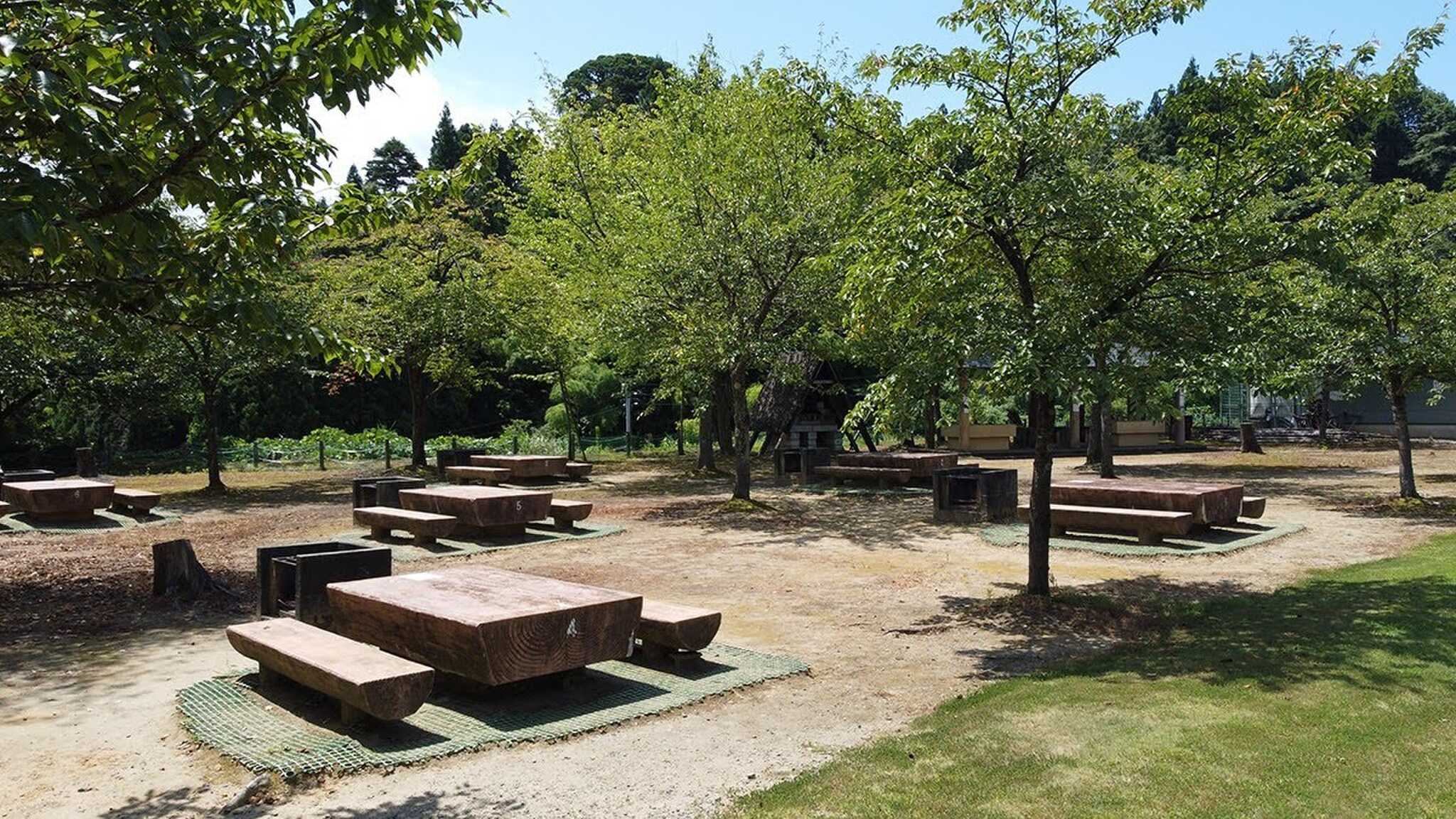 長岡市大杉公園の写真 4枚目