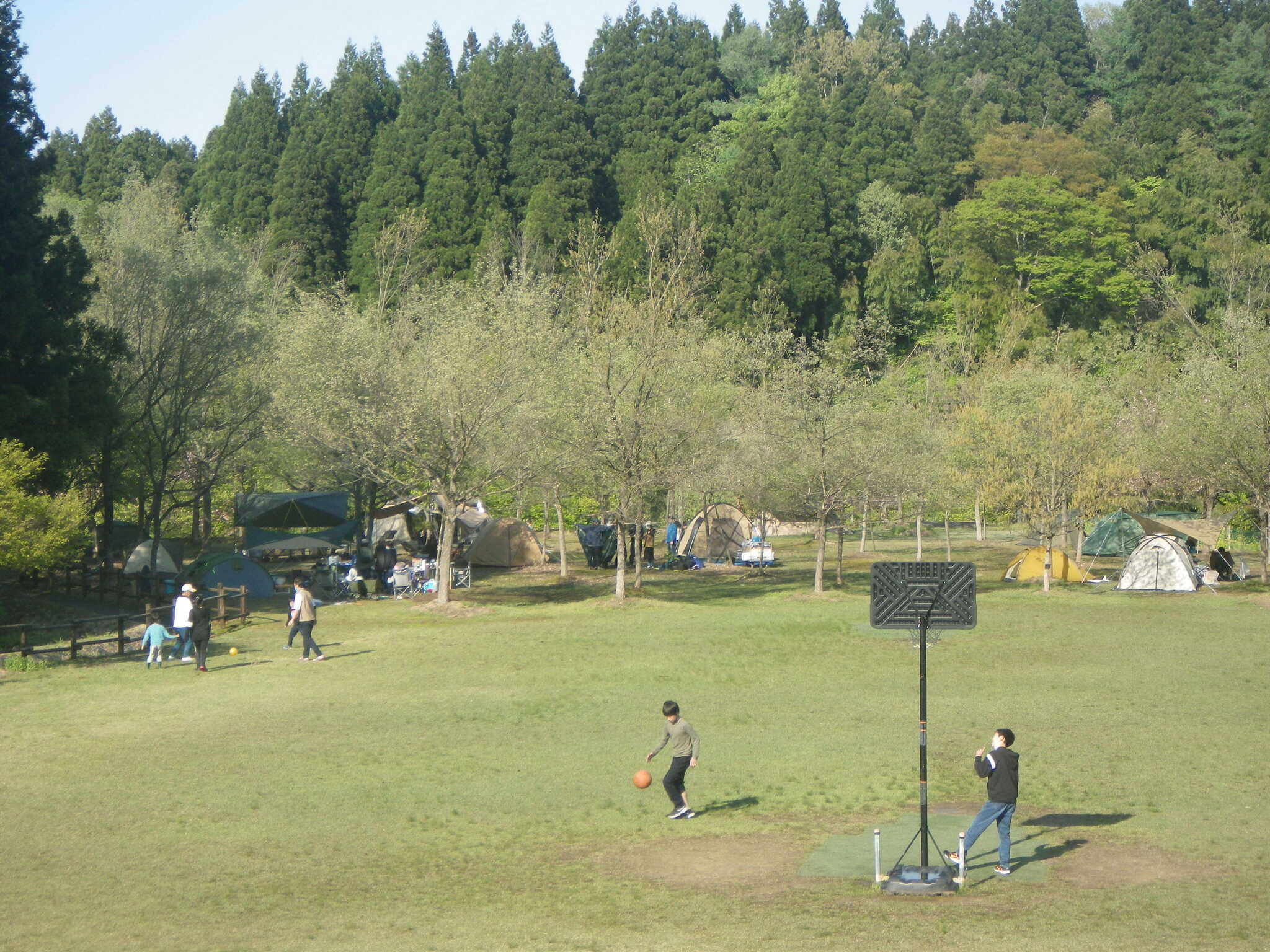 長岡市大杉公園の写真 5枚目