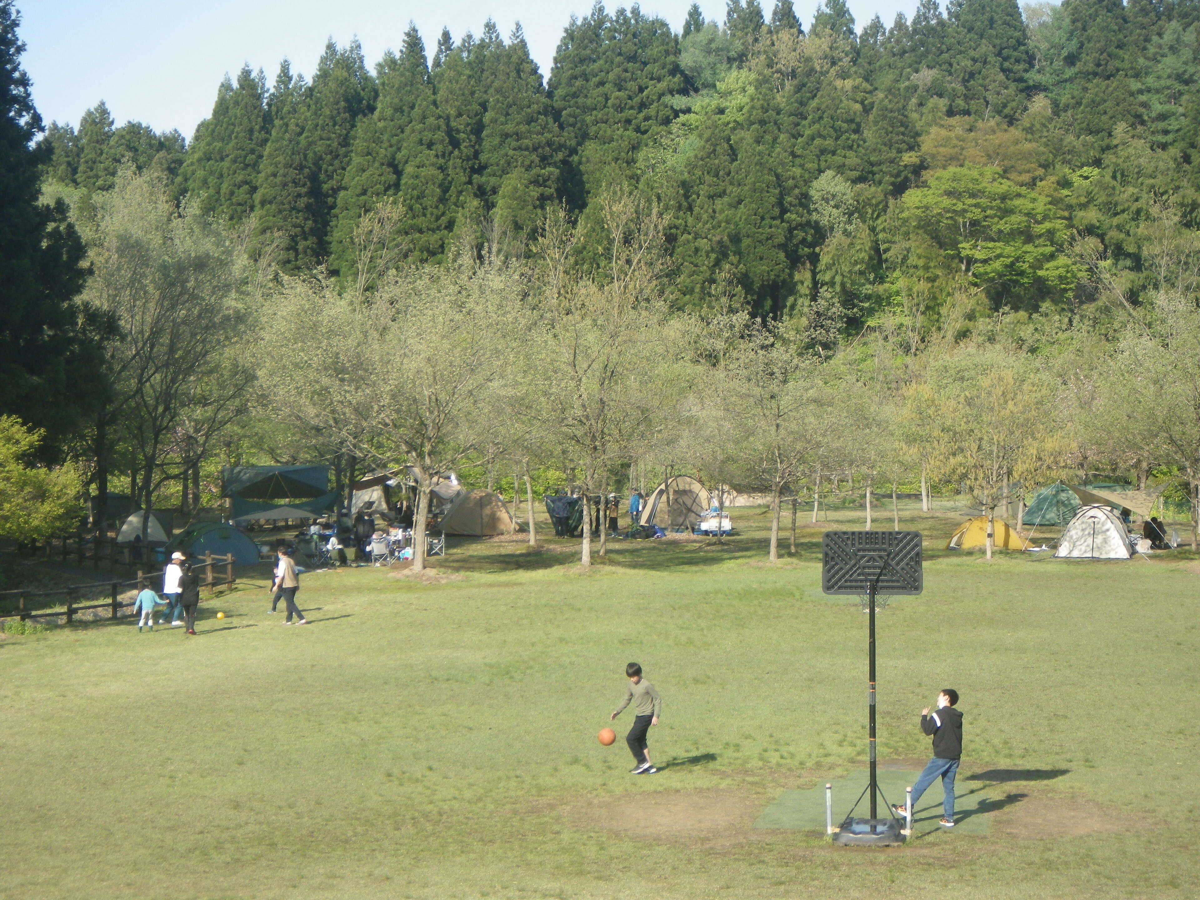 長岡市大杉公園の写真 5枚目