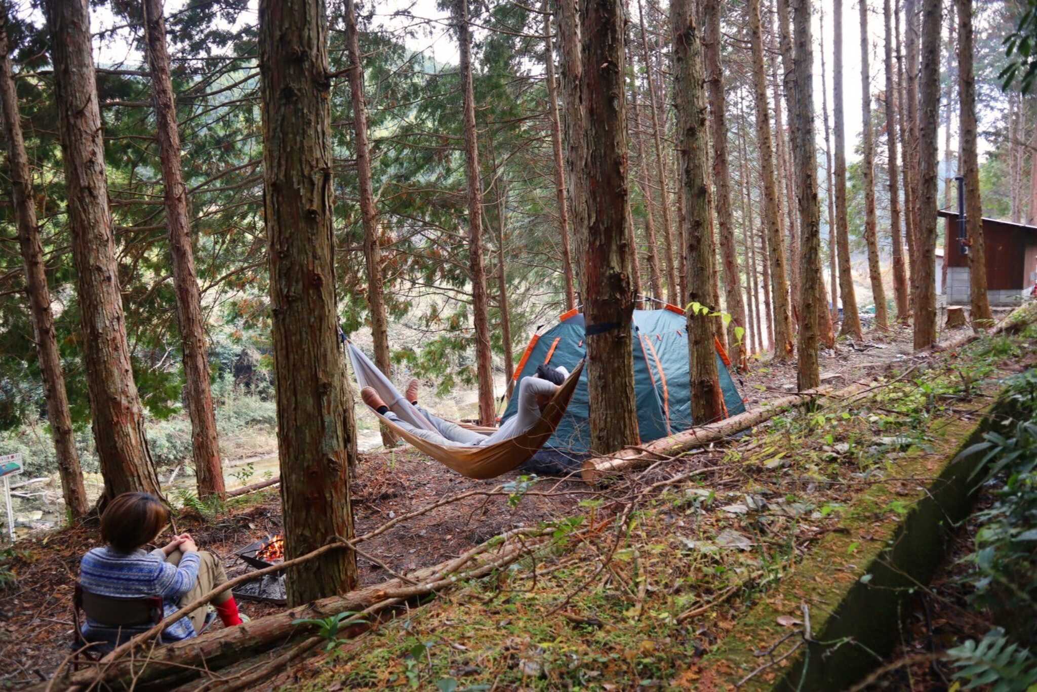 Camp Momo & Kite