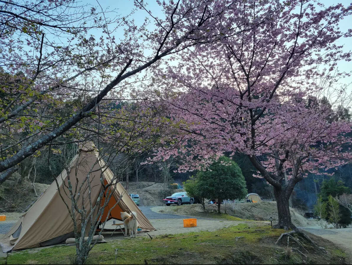 bonfirebase富津キャンプビレッジ