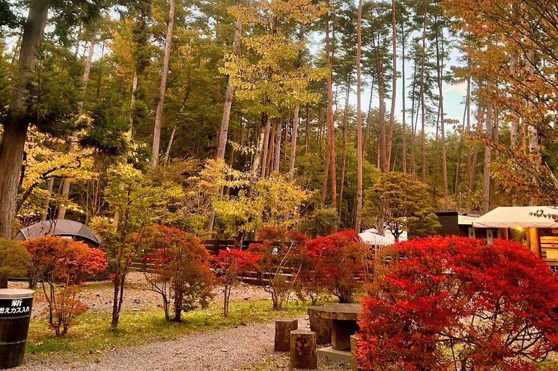 DOTEKAGE CAMP GROUND
