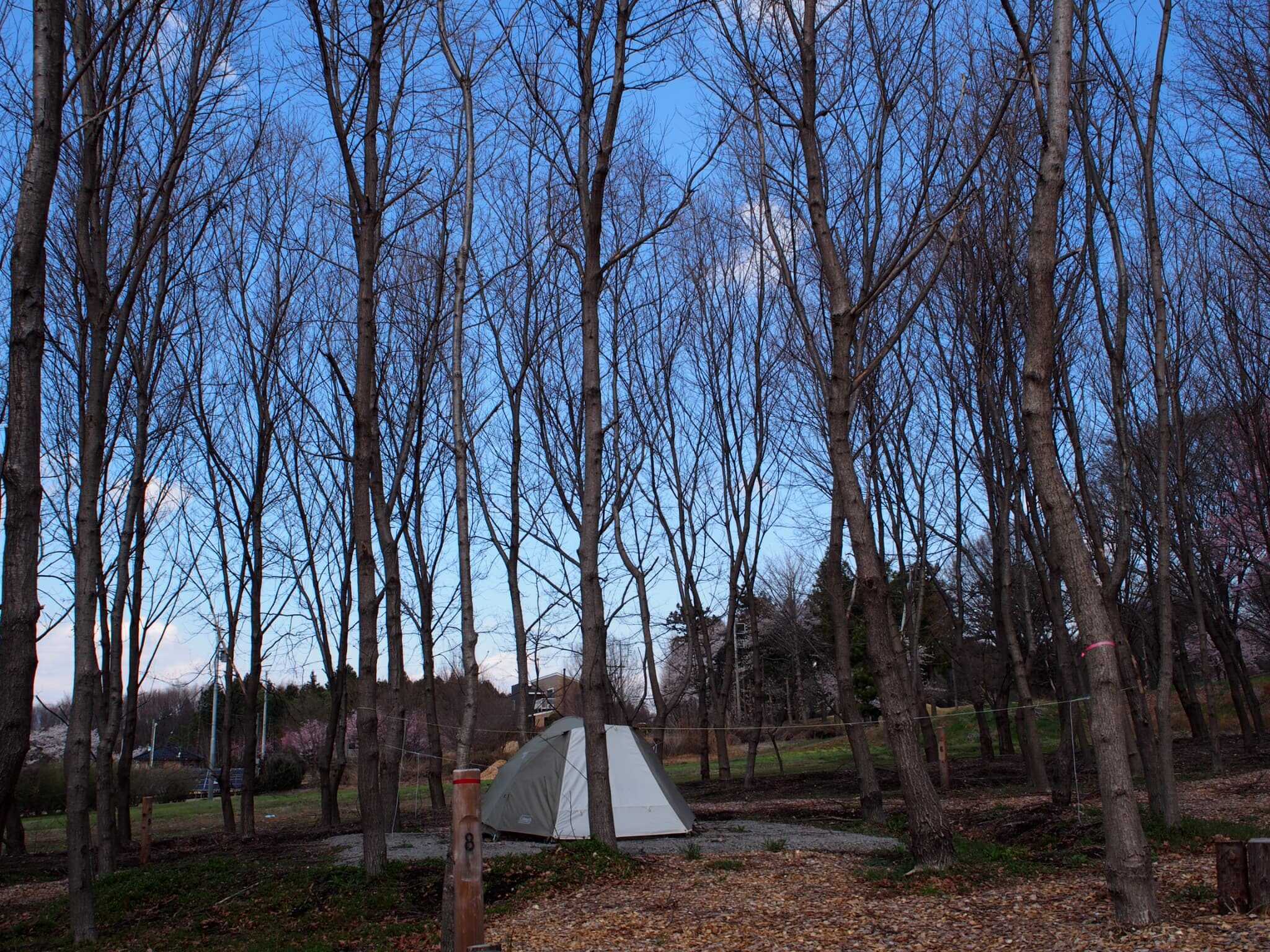 GLAMPING HILLS AKAGI CAMP AREAの写真 4枚目