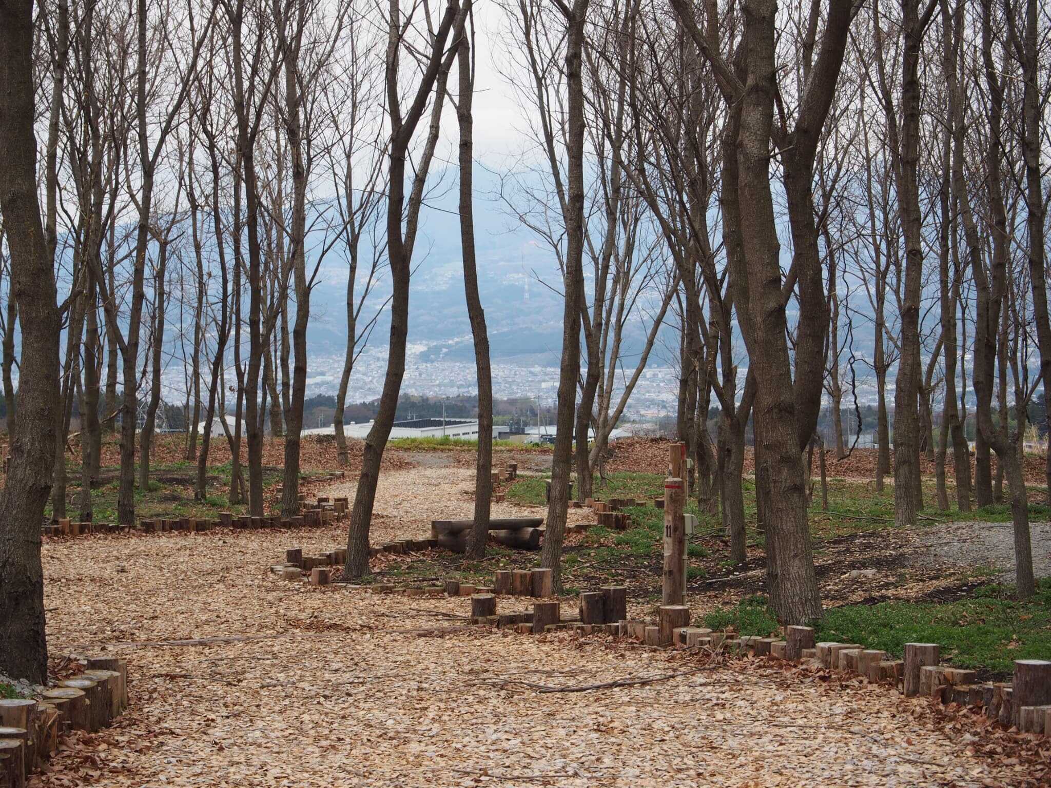 GLAMPING HILLS AKAGI CAMP AREAの写真 5枚目