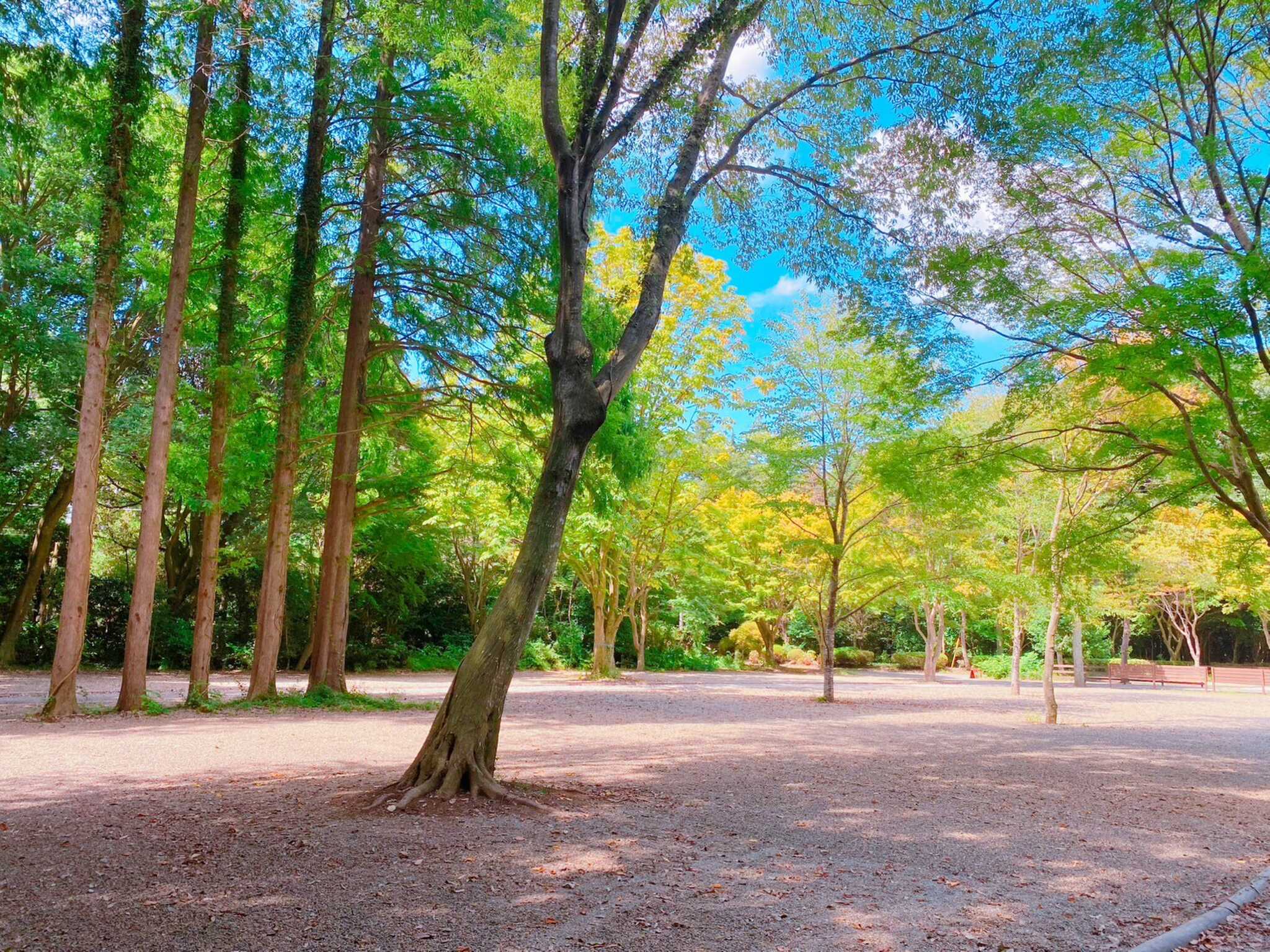 キャンプガーデン印西の写真 2枚目